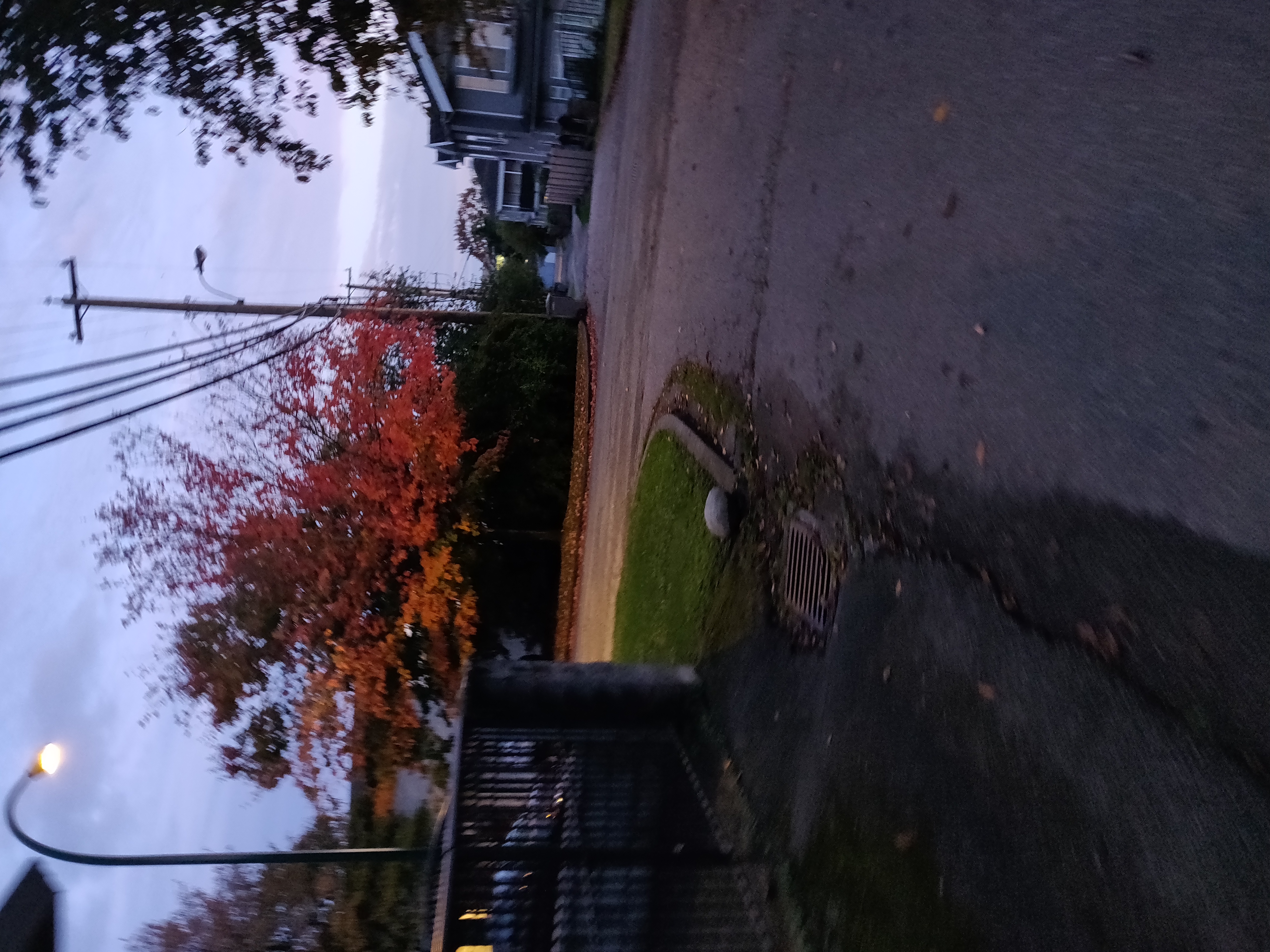 IMG_20191007_185326.jpg