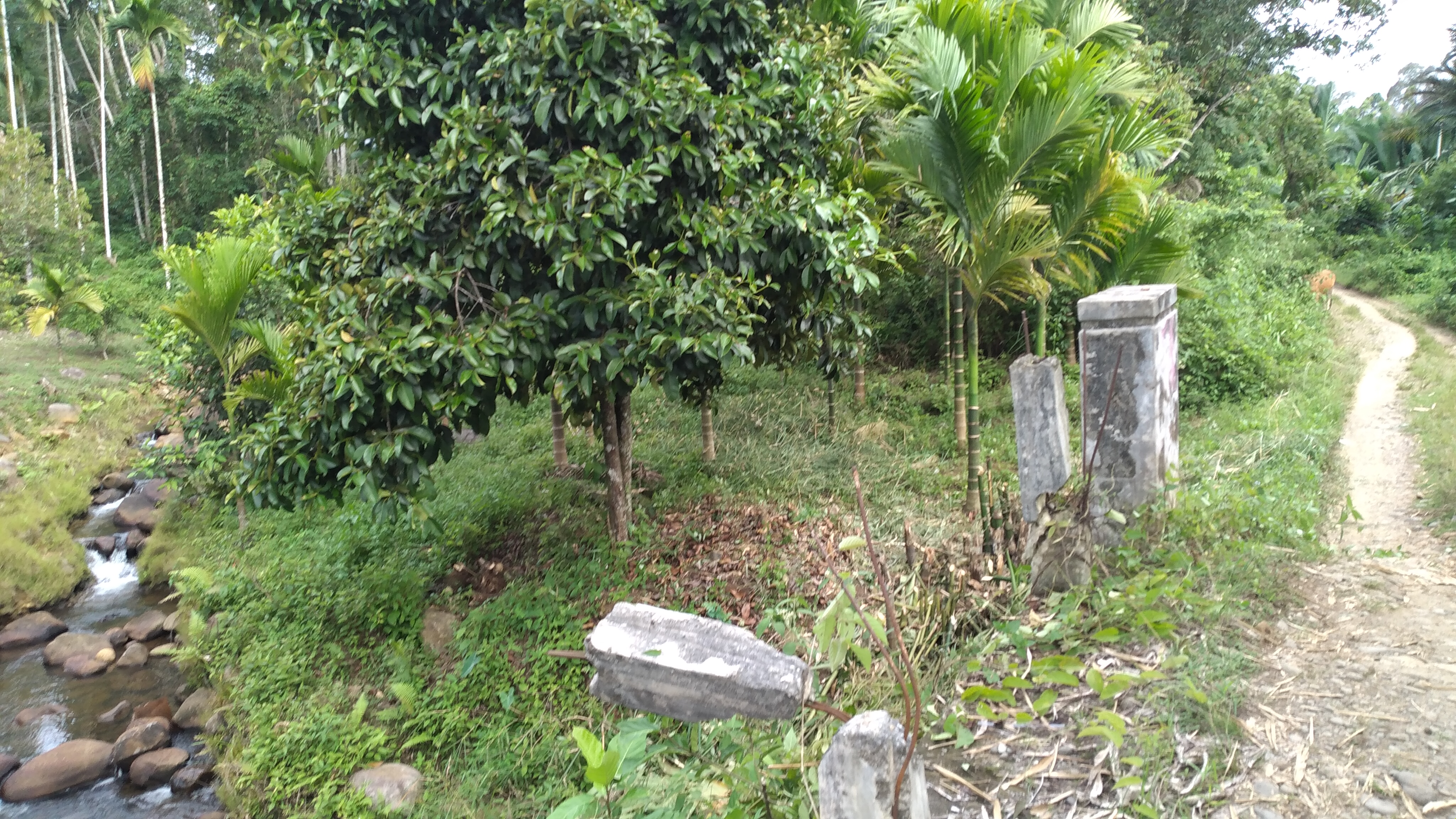 20221002_154715.jpg