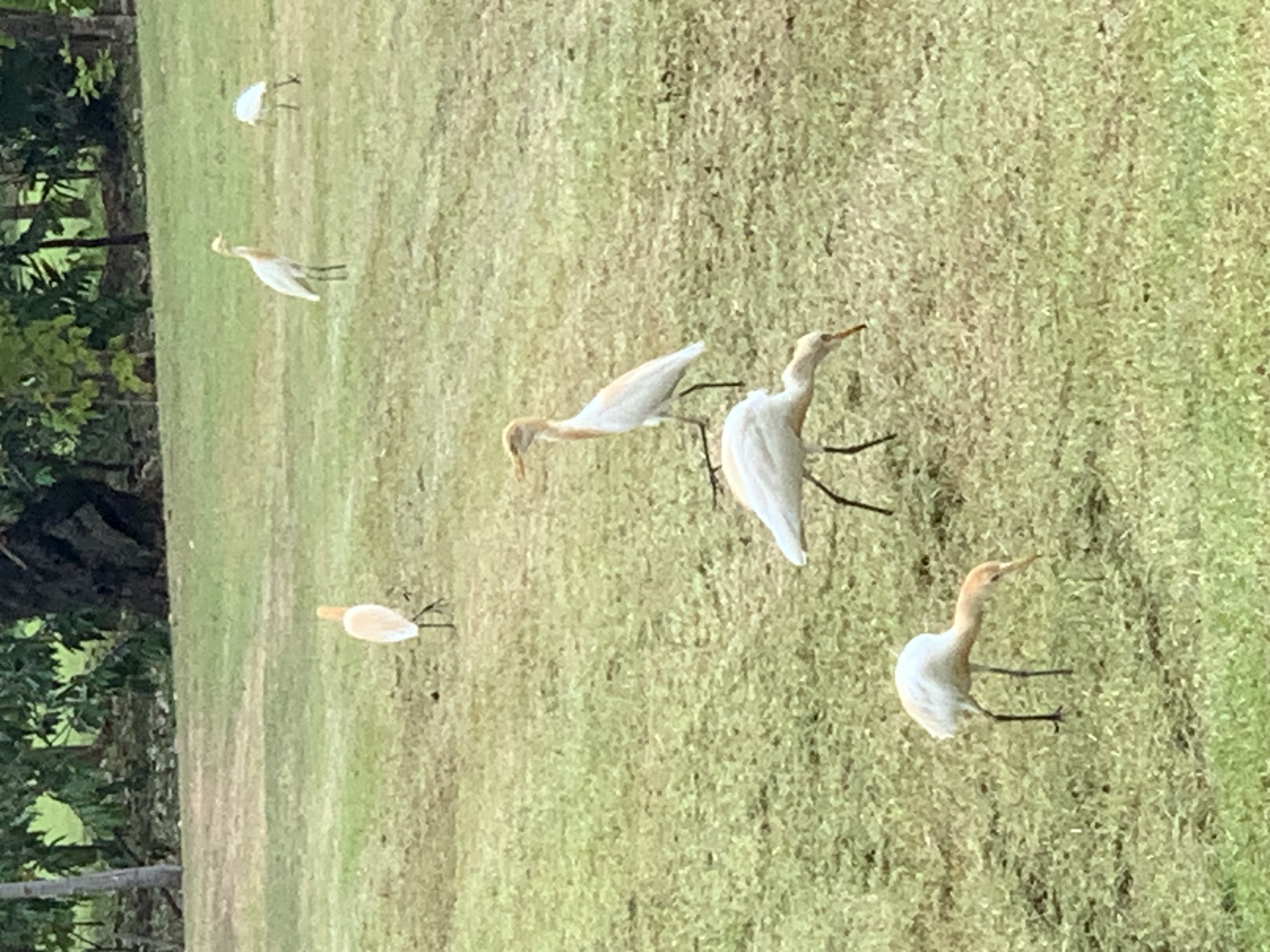 birdwatching spots25.jpg
