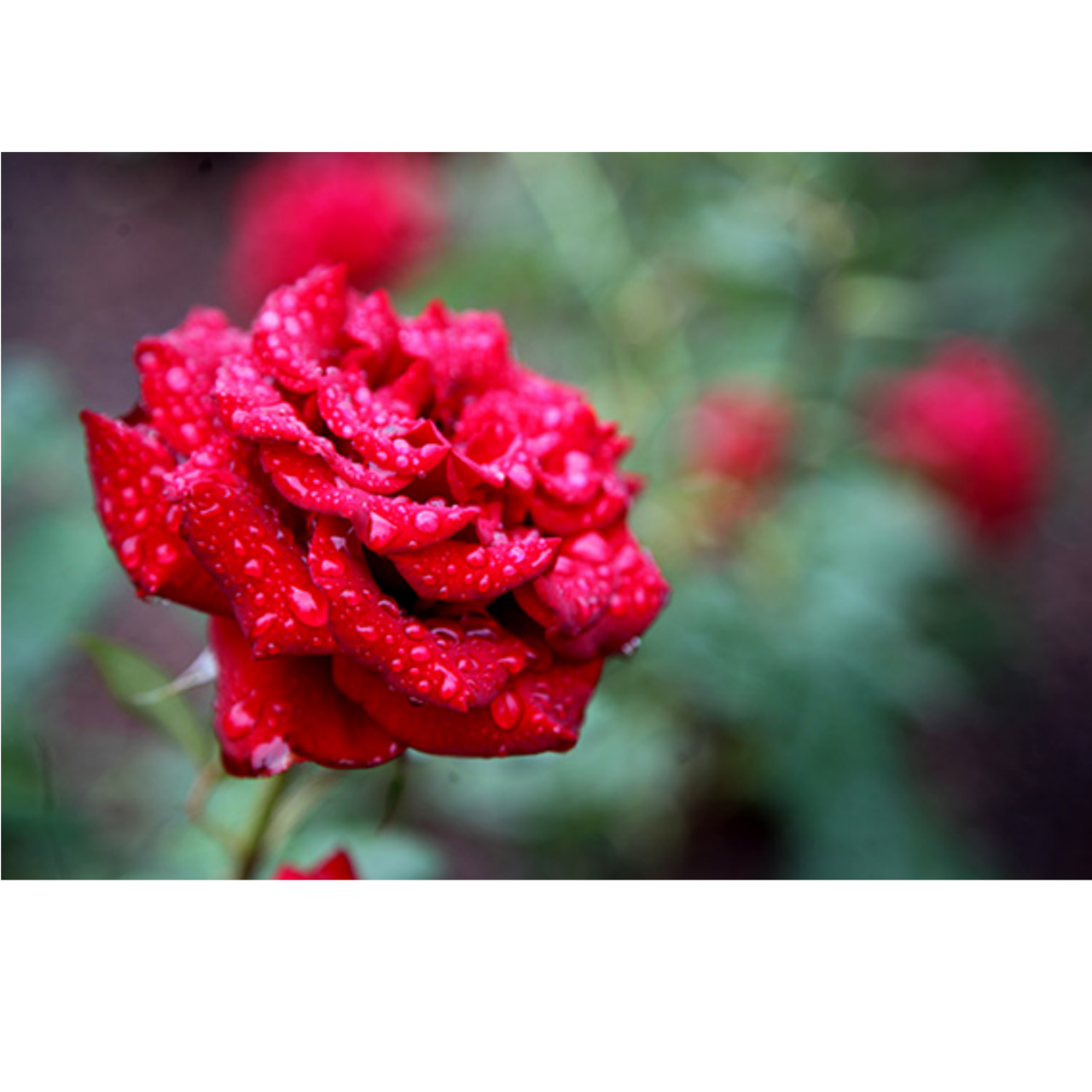 20180604_184230.png