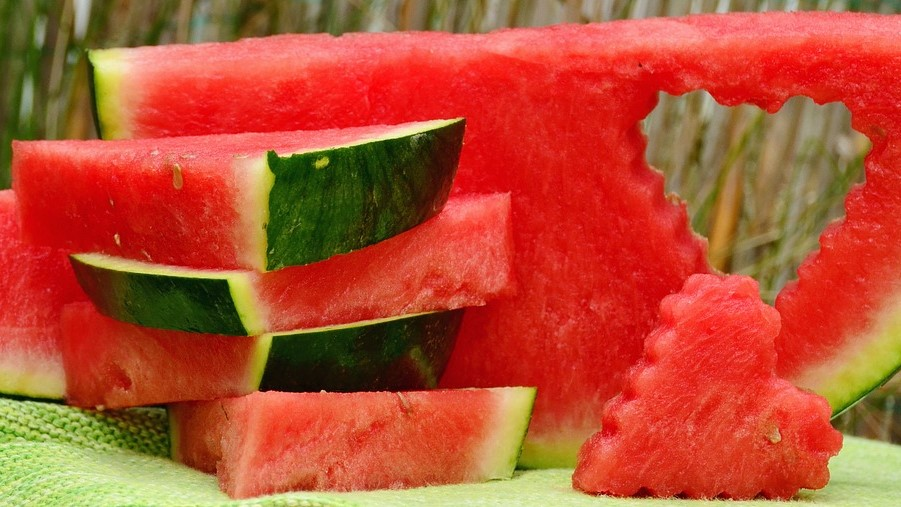 watermelon