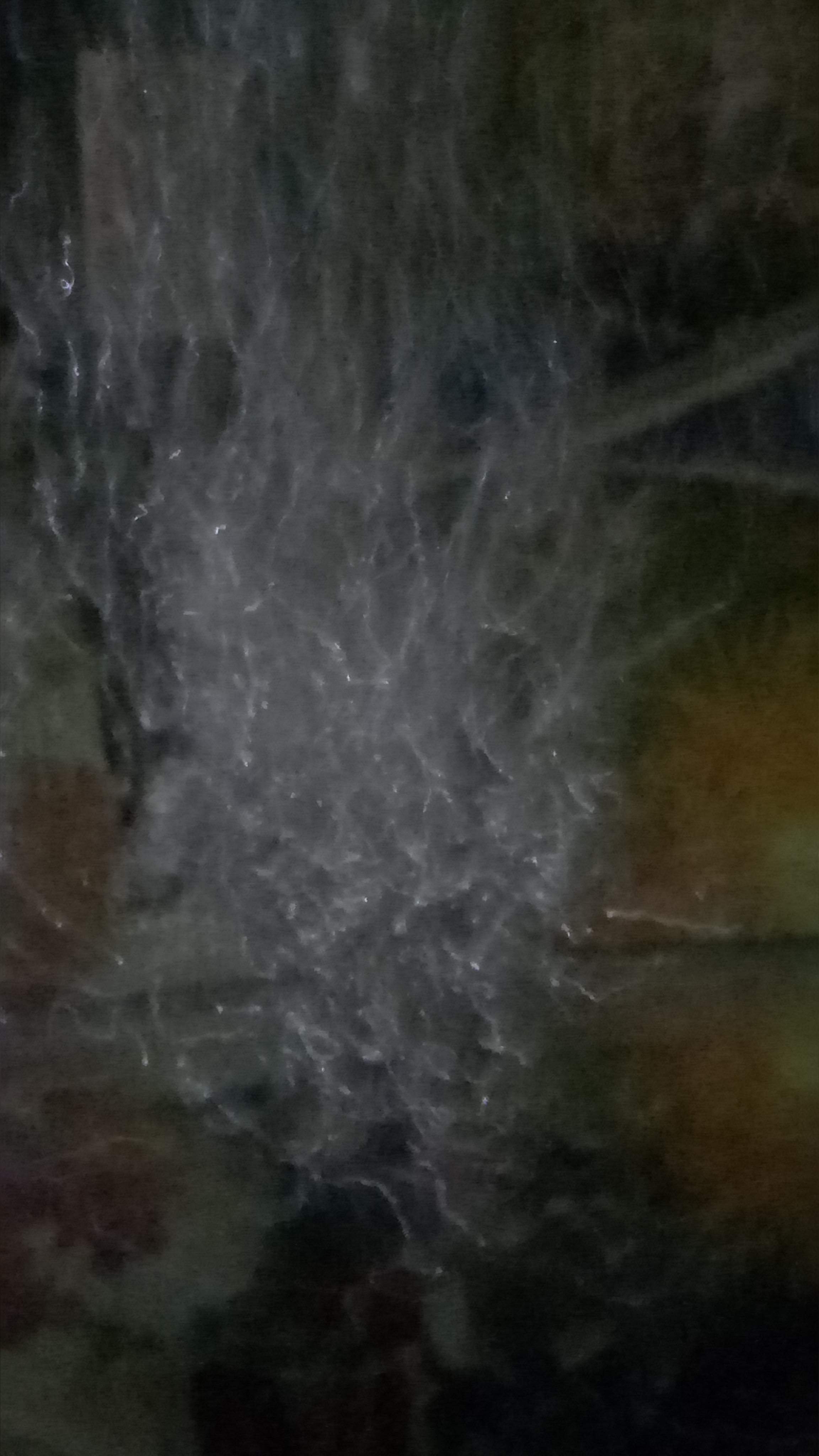 IMG20230129161120.jpg
