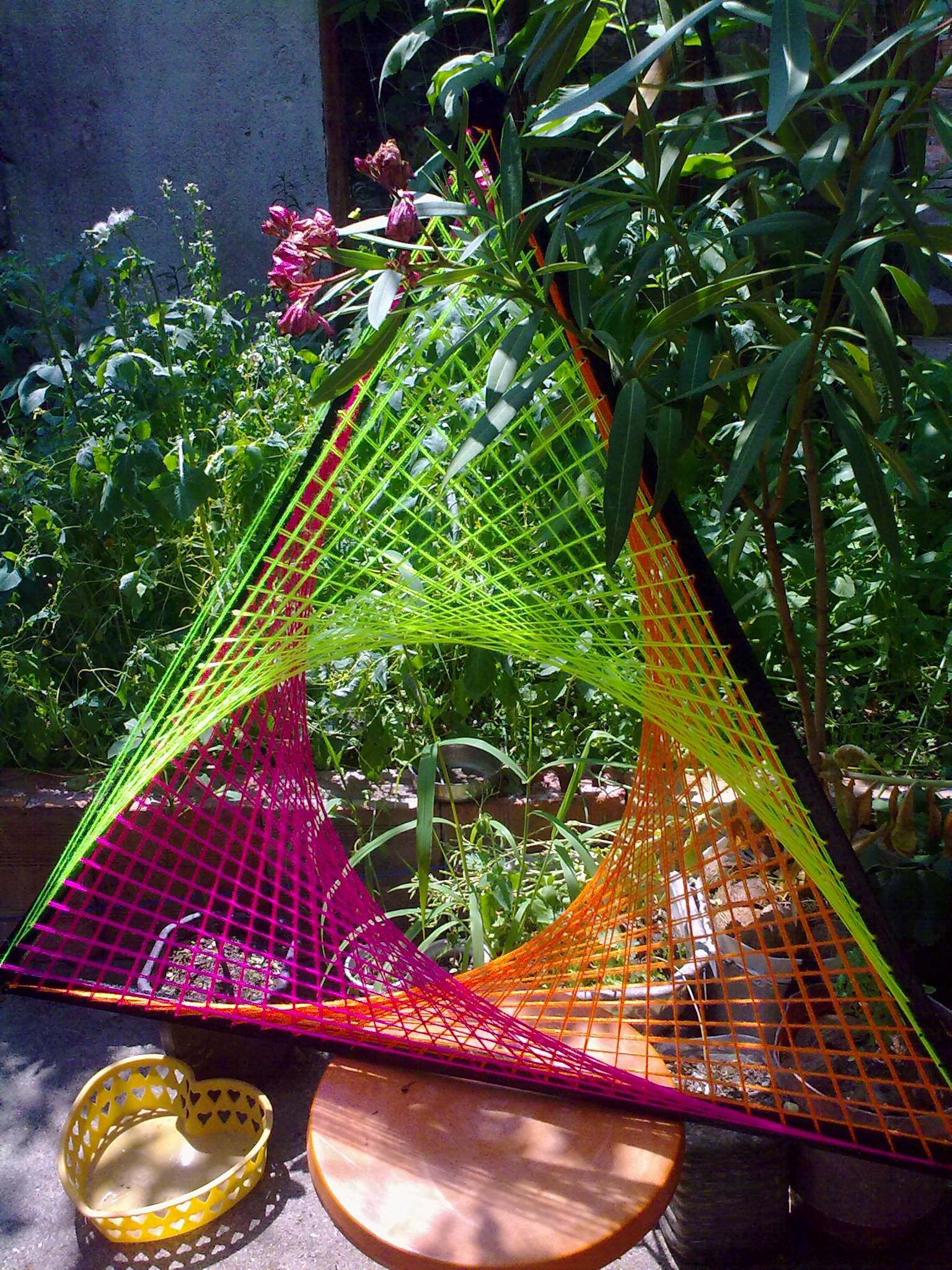 250620123132.jpg
