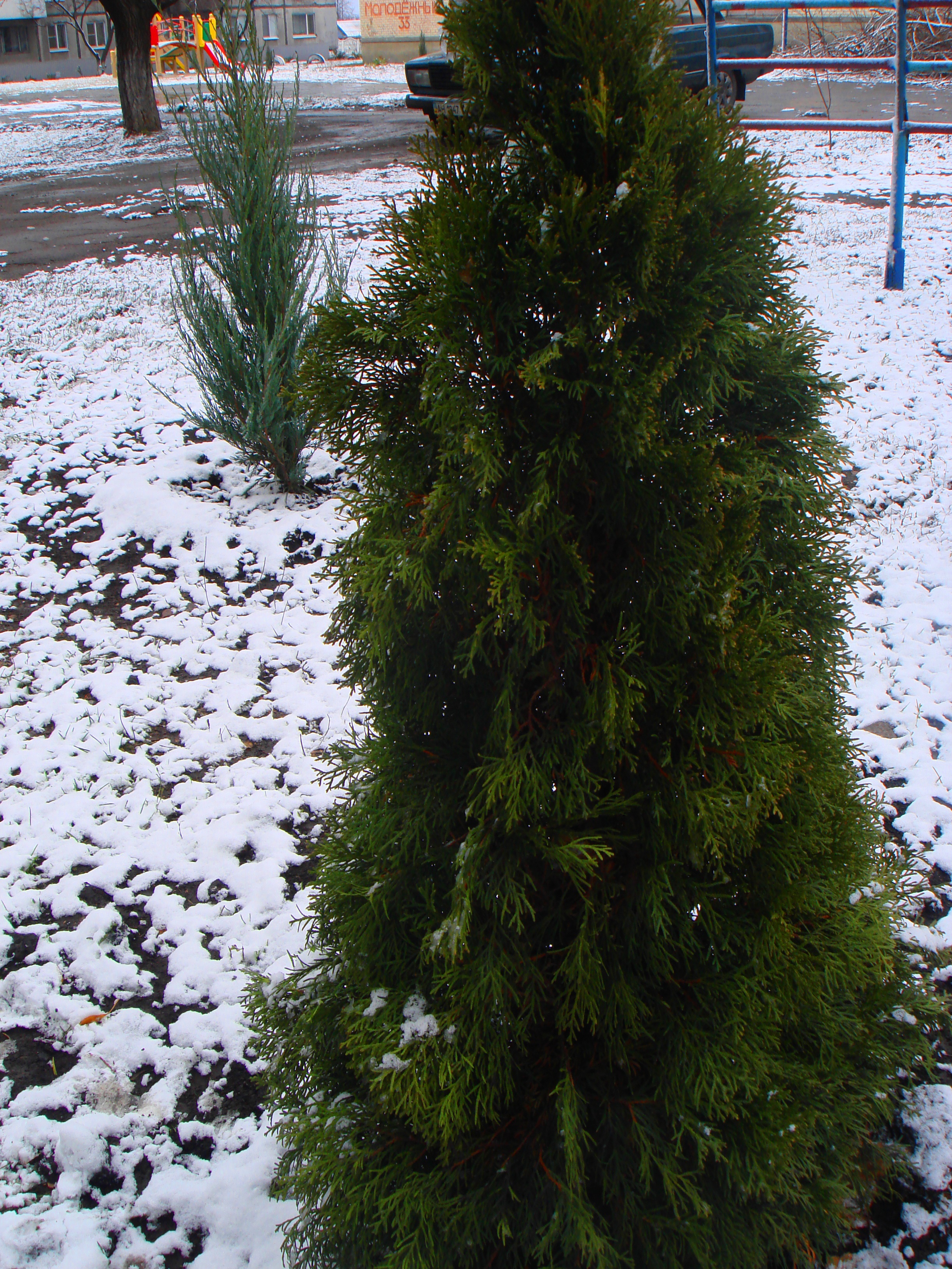 DSC00055-2.jpg
