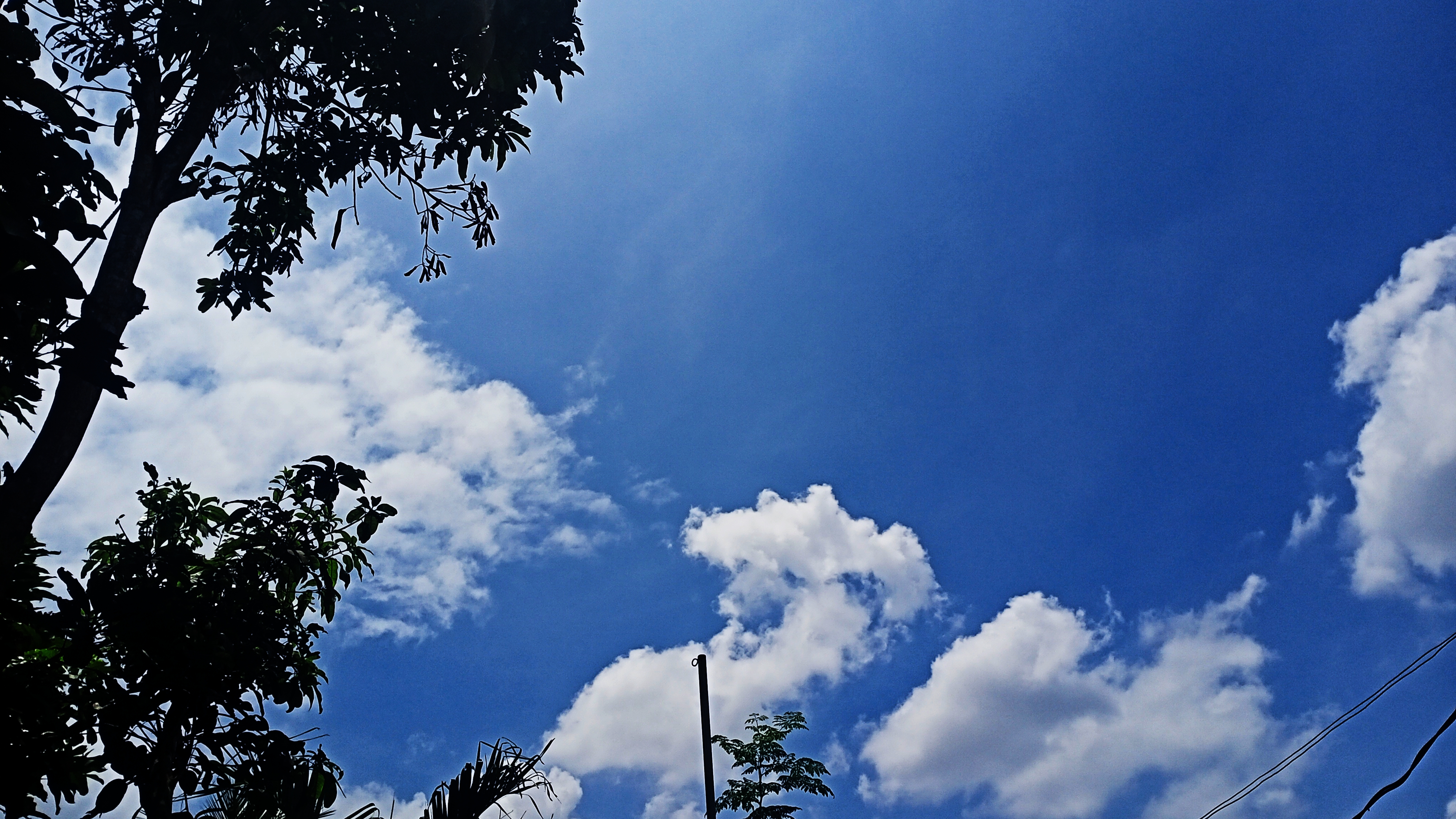 IMG_20250308_122847.jpg