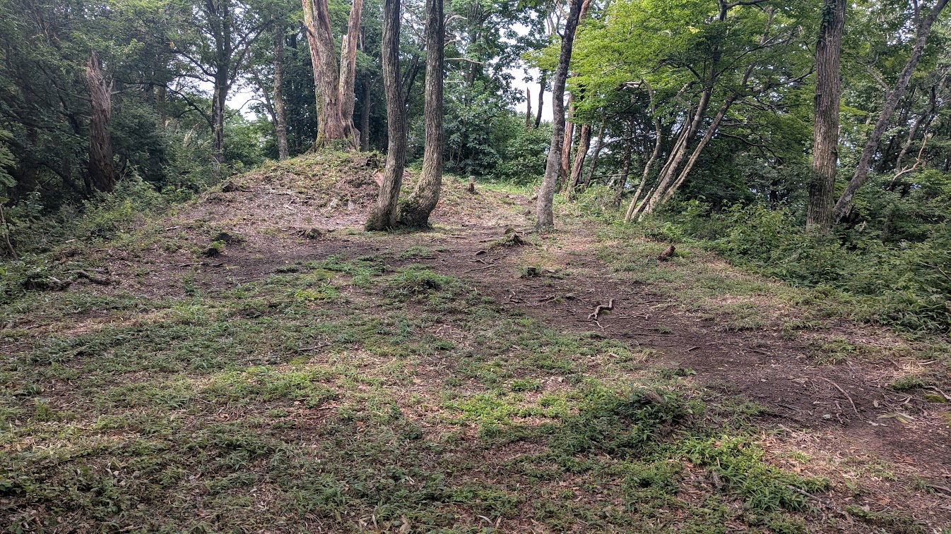 PXL_20260703_234836316.jpg