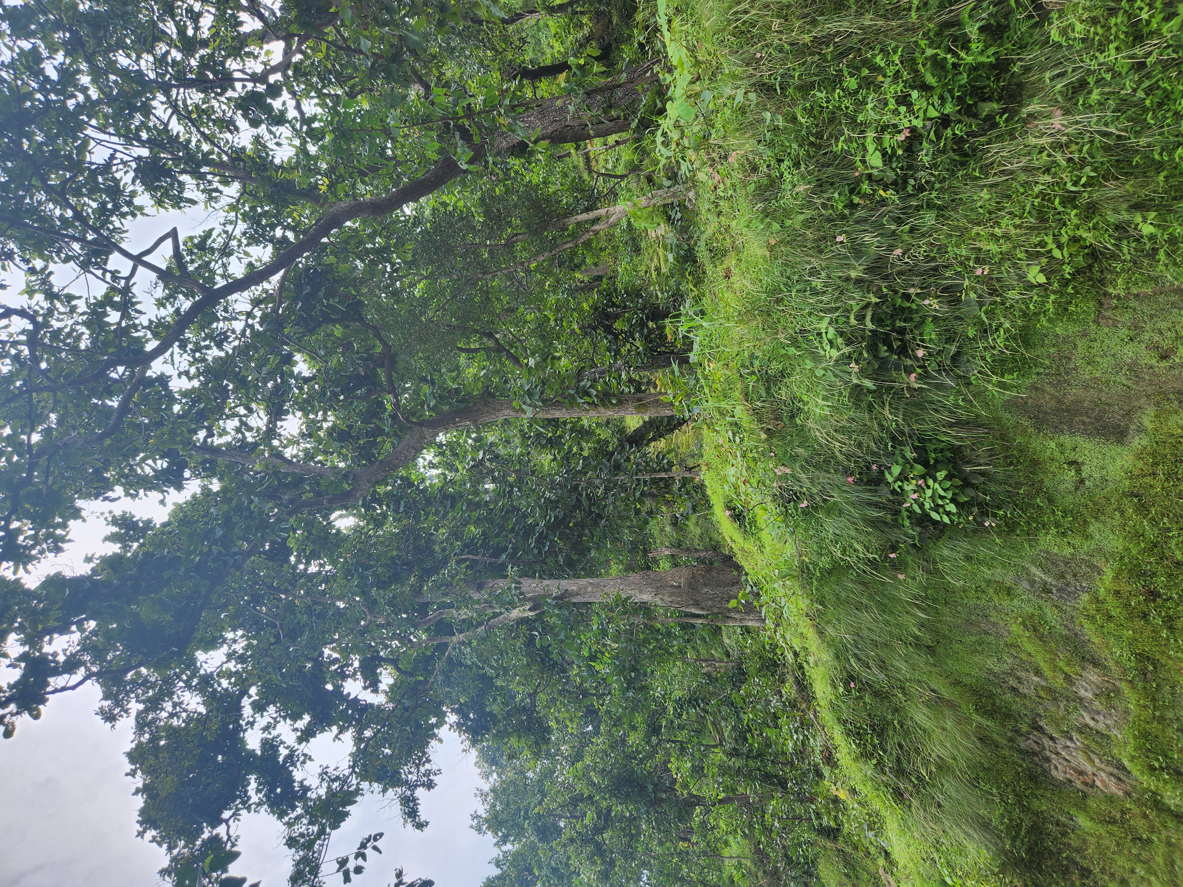 20240914_113031.jpg