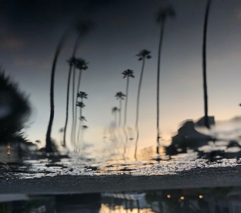 reflected3.jpg