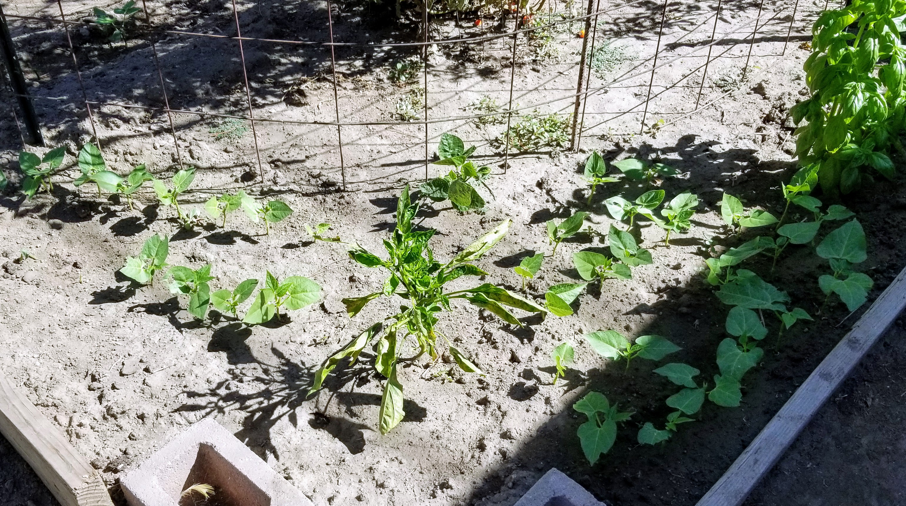 20180926_104127~2.jpg