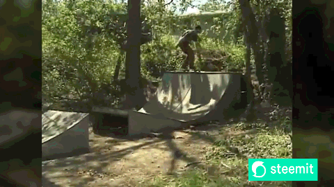 dfghertw4dfg.gif
