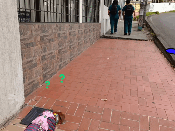 116250.gif