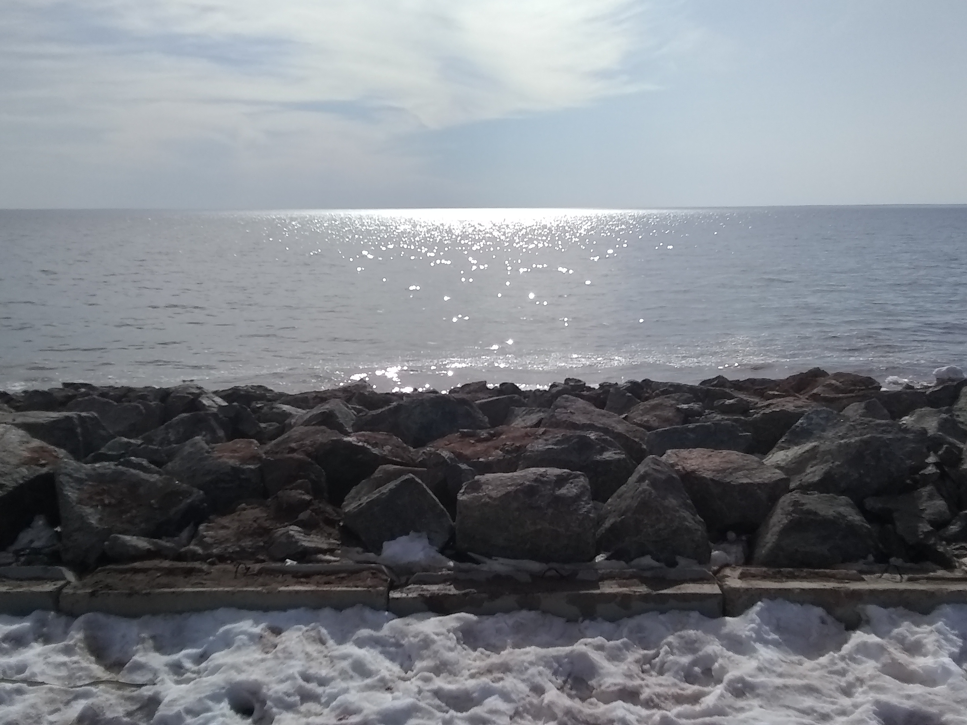 Cedar Dunes Park 28.jpg