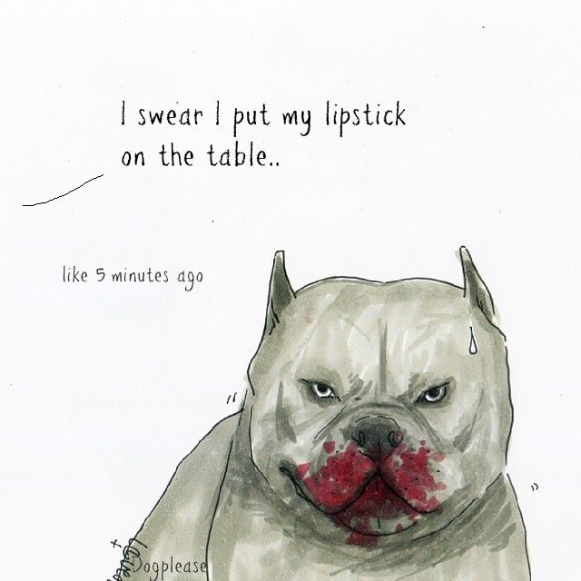 predator dog.jpg