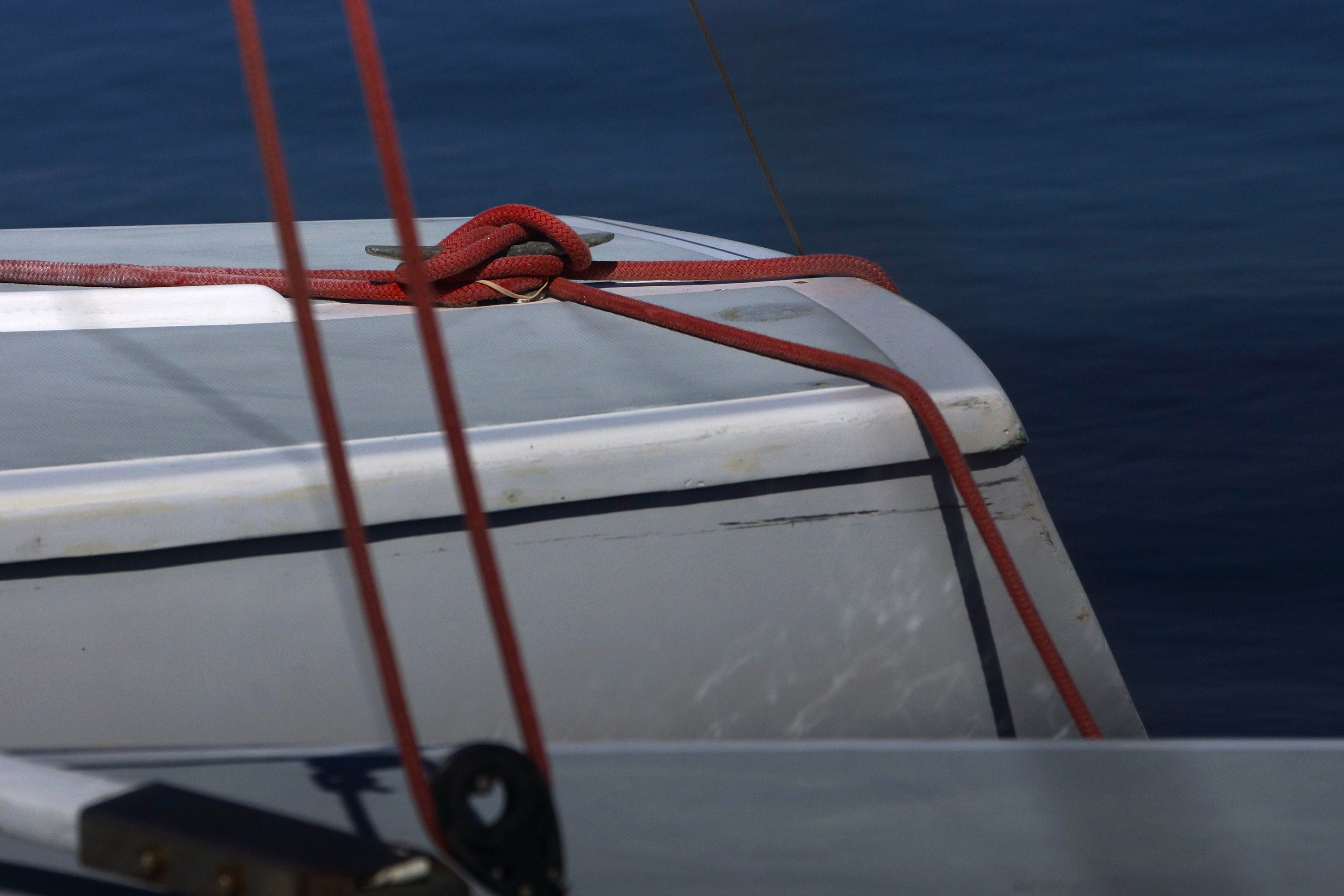 _DSC8295.JPG
