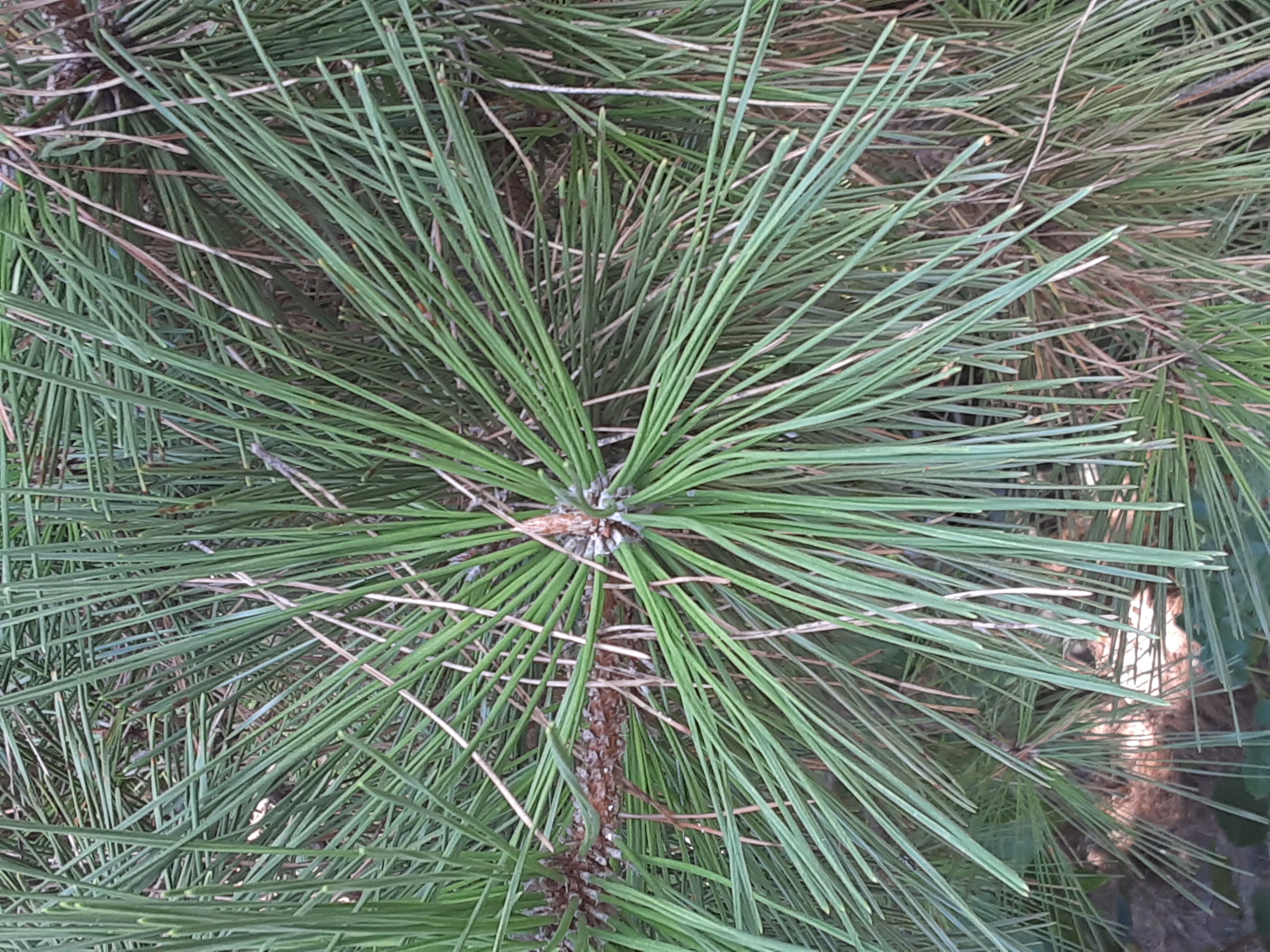 20241014_073743.jpg