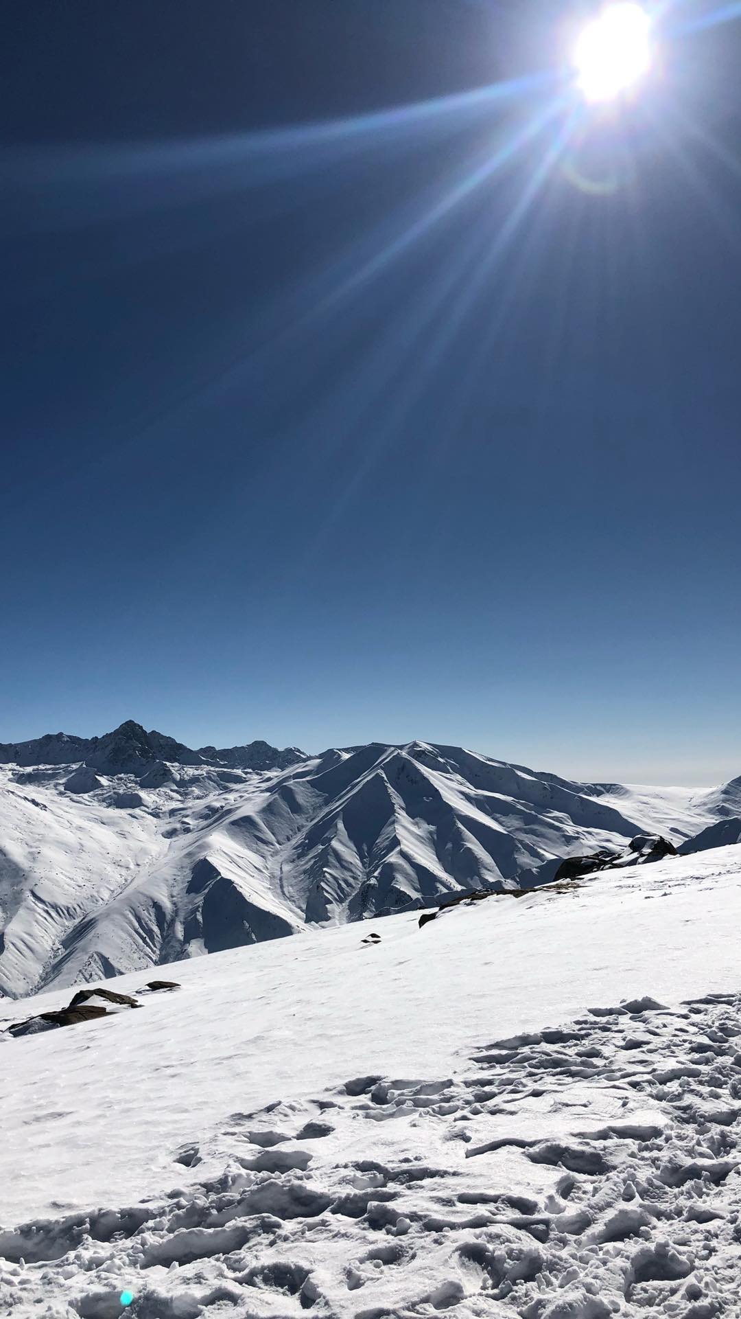 WhatsApp Image 2021-08-05 at 9.30.59 PM (1).jpeg