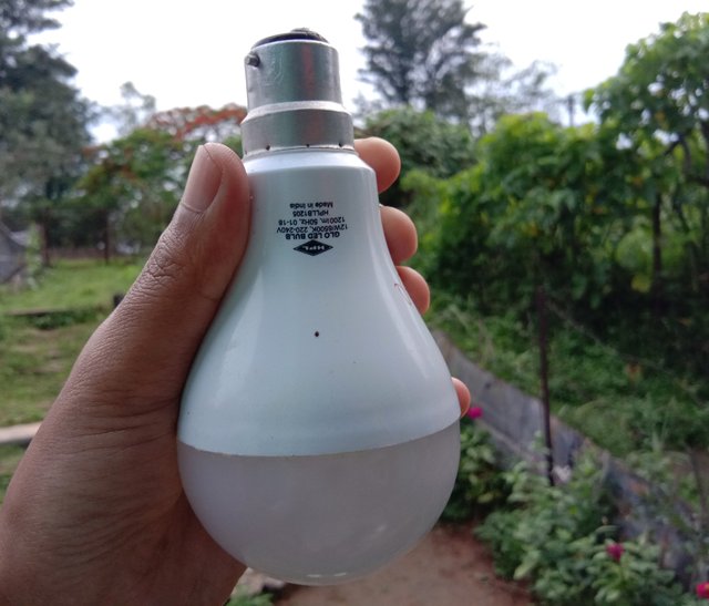 bulb 1.jpg