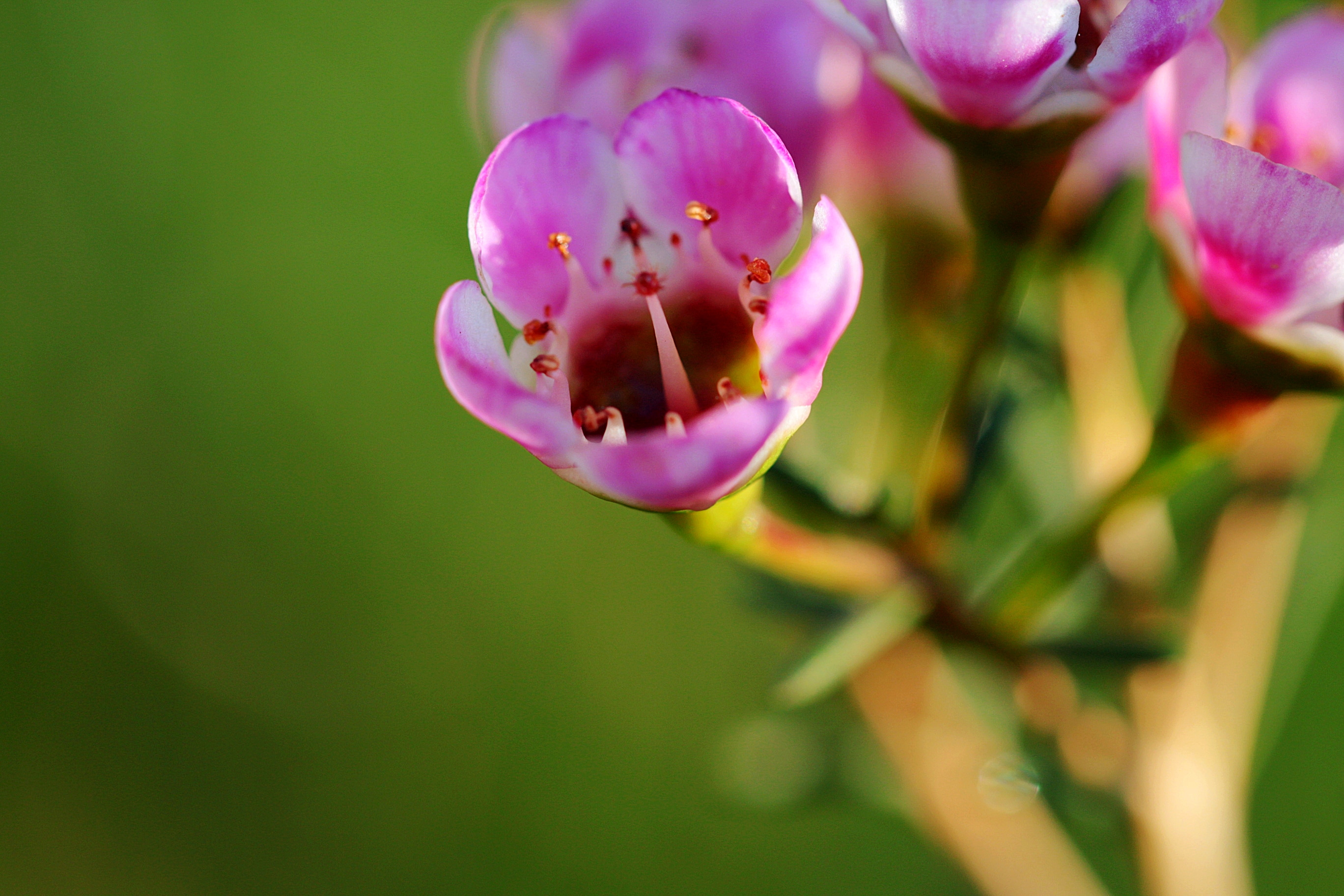 eyeemfiltered1582569601451.jpg