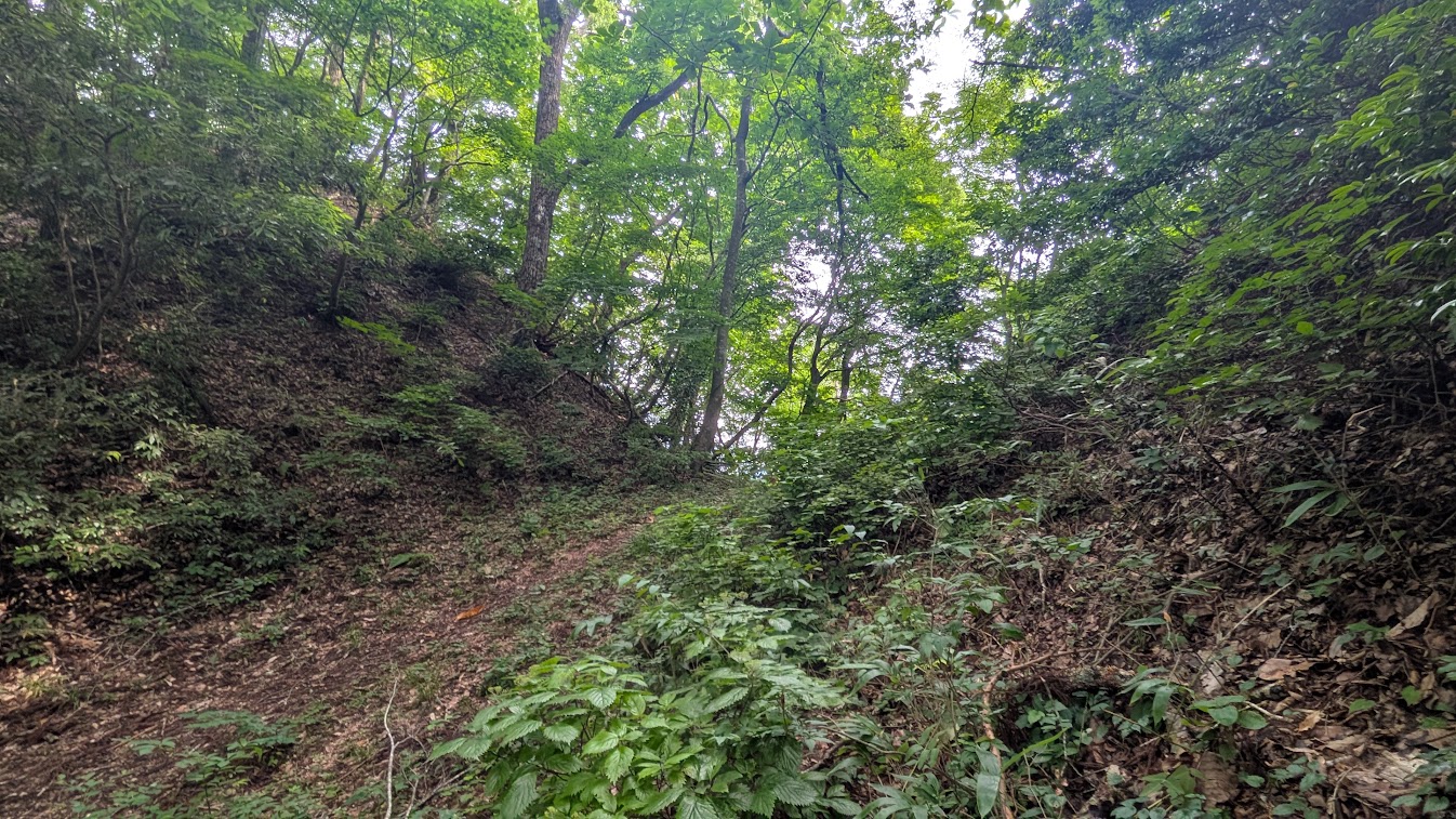 PXL_20260703_234504951.jpg
