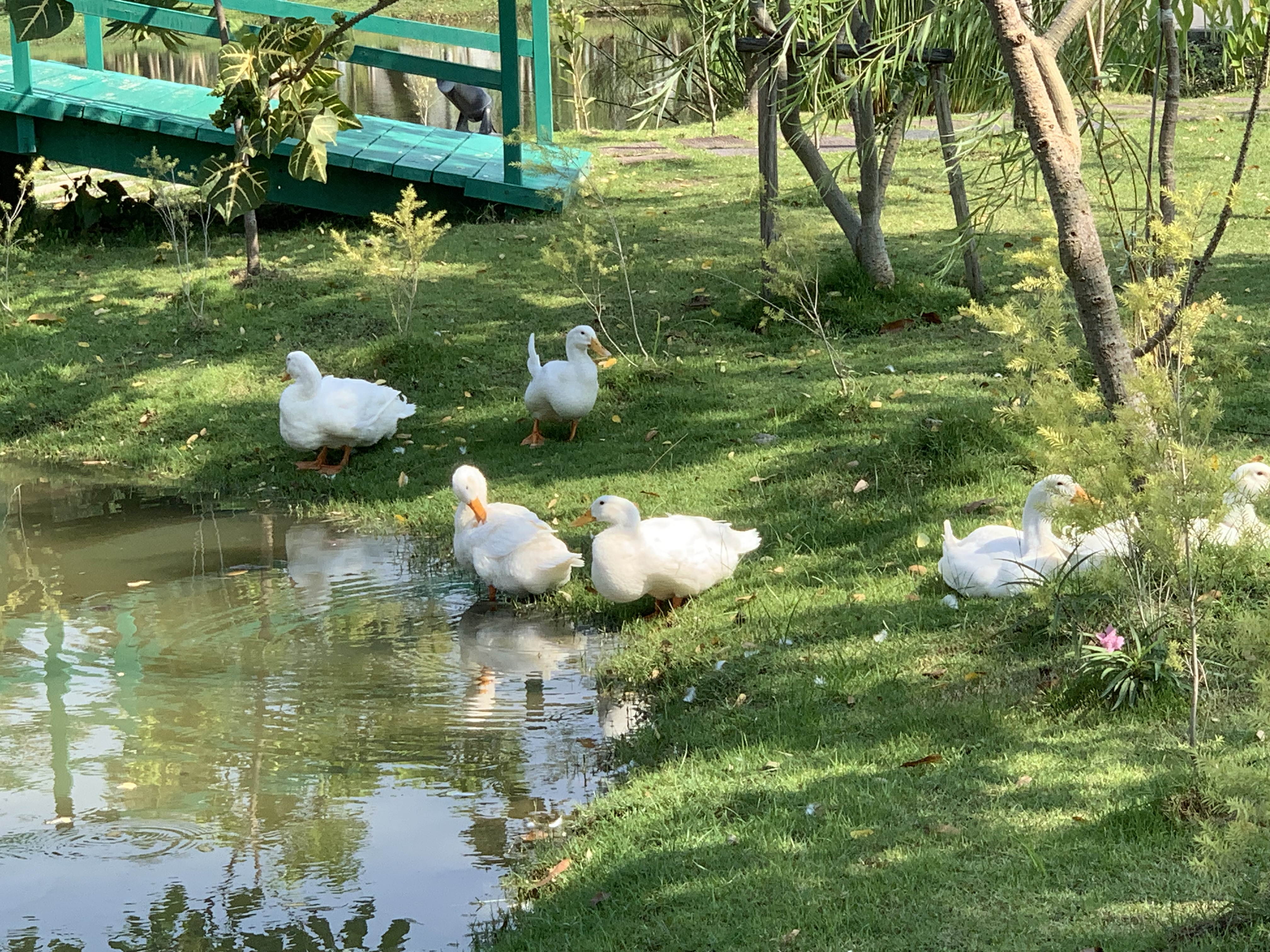 Queen Sirikit Park101.jpg