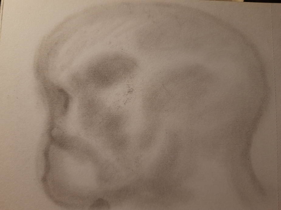 20260721_101158.jpg