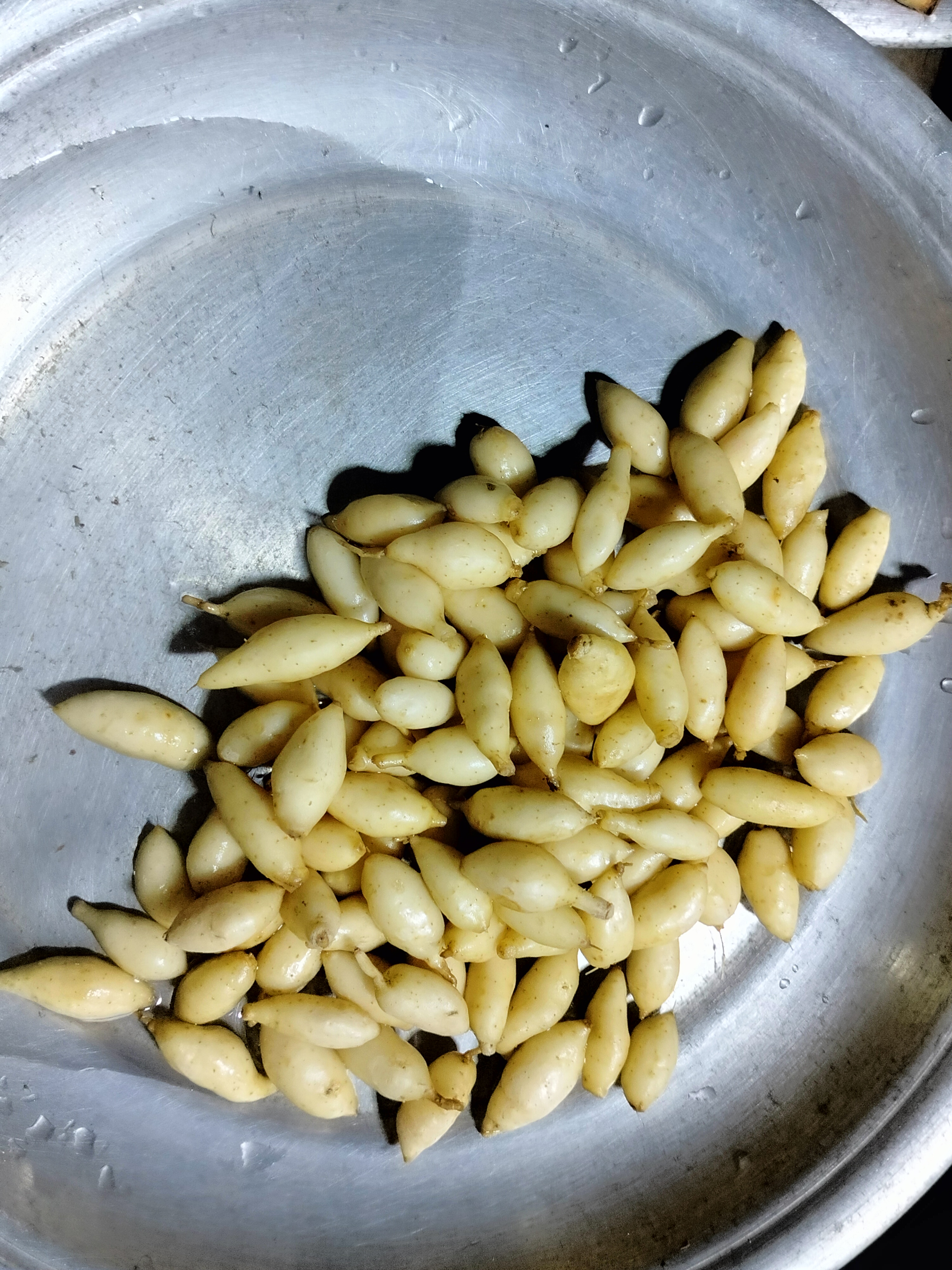 IMG20260206195053.jpg