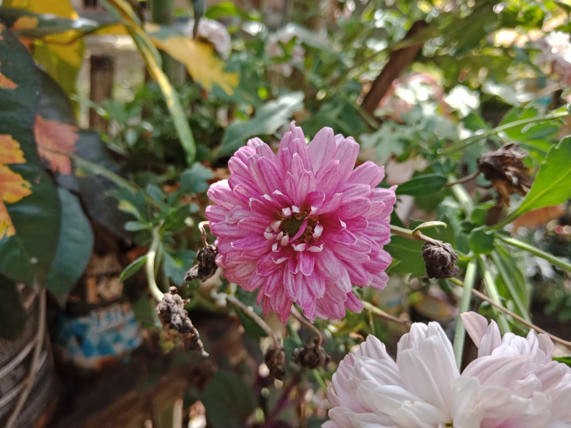 WhatsApp Image 2021-12-15 at 13.39.18(1).jpeg