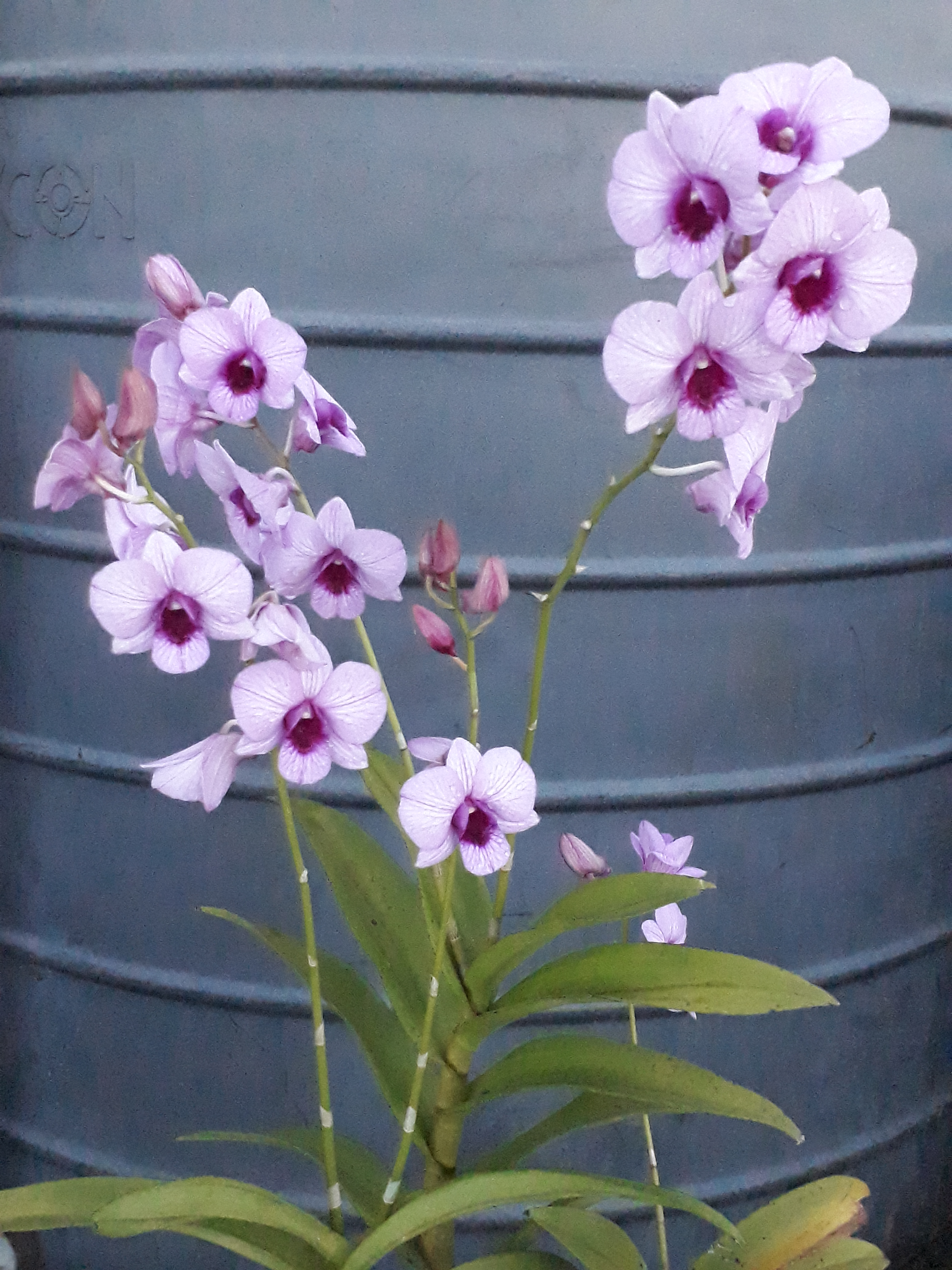 20170921_163045.jpg