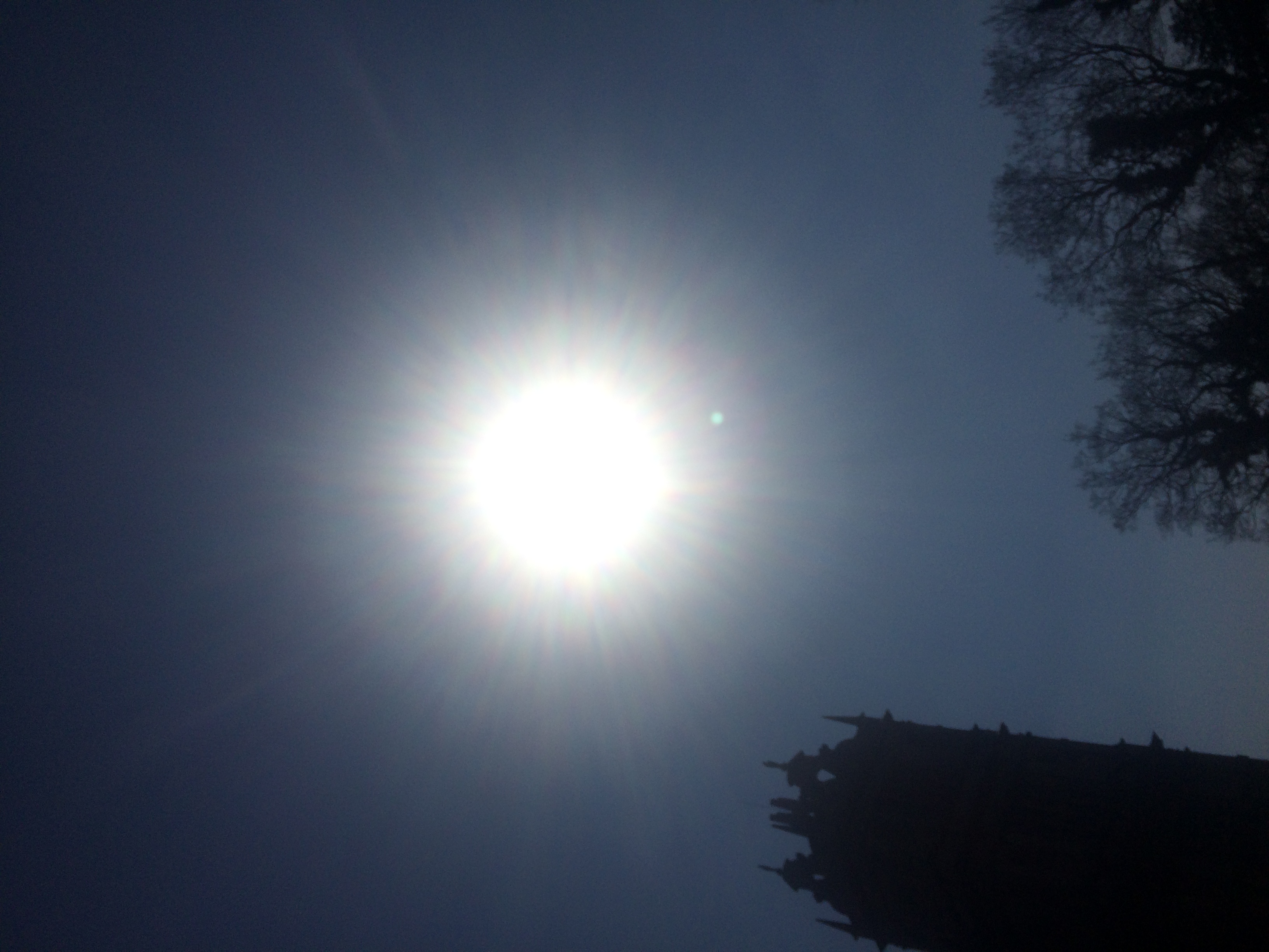 IMG-3335.JPG