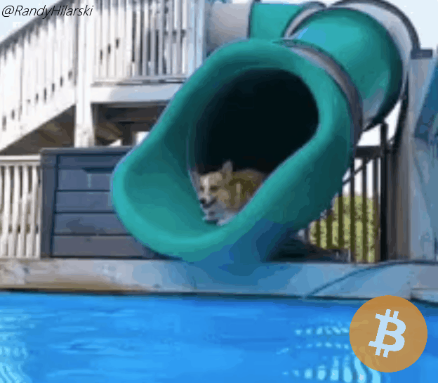 funny gifs:-see just for fun 🤣😂 — Steemit