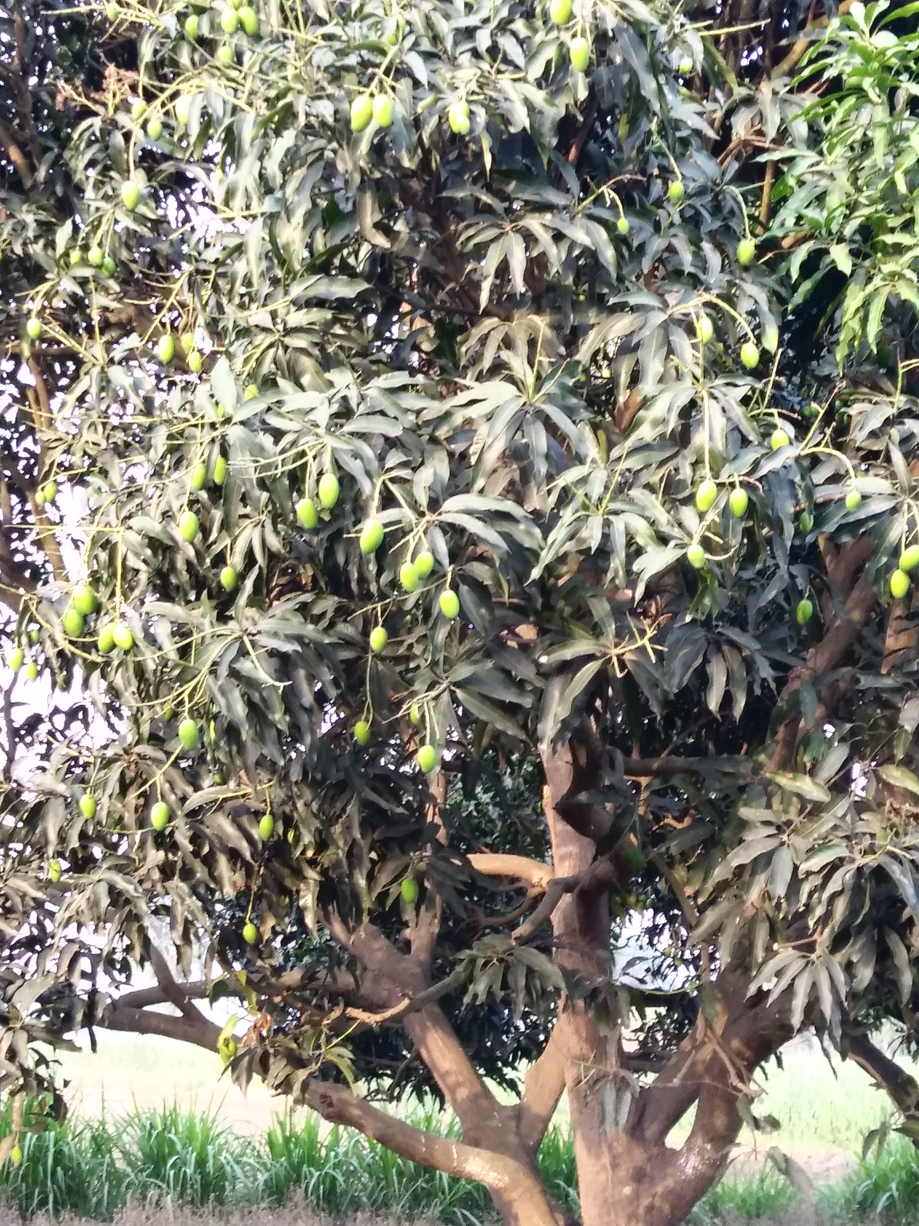 20180429_064727.jpg