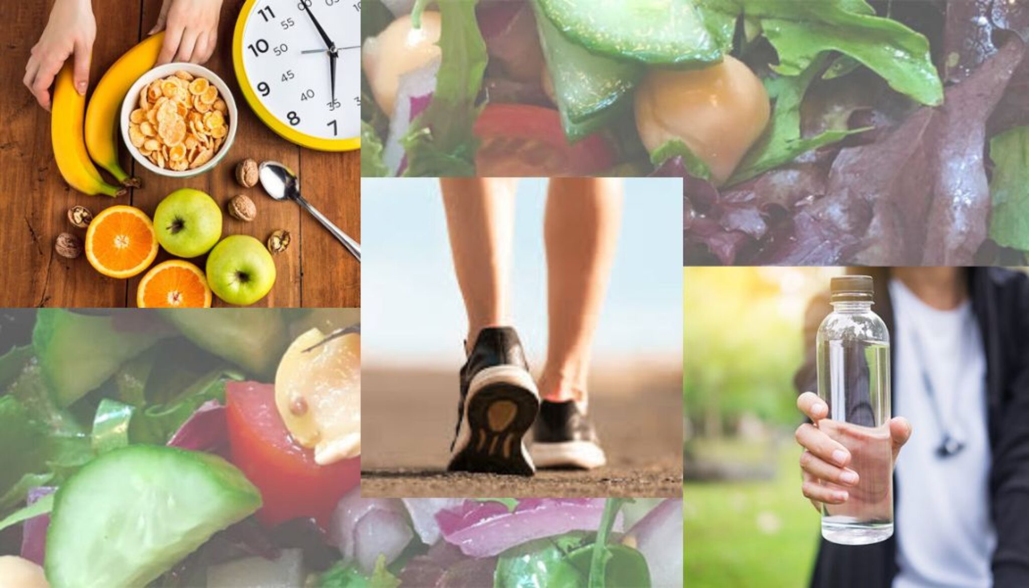 diet-plan--2048x1170.jpg