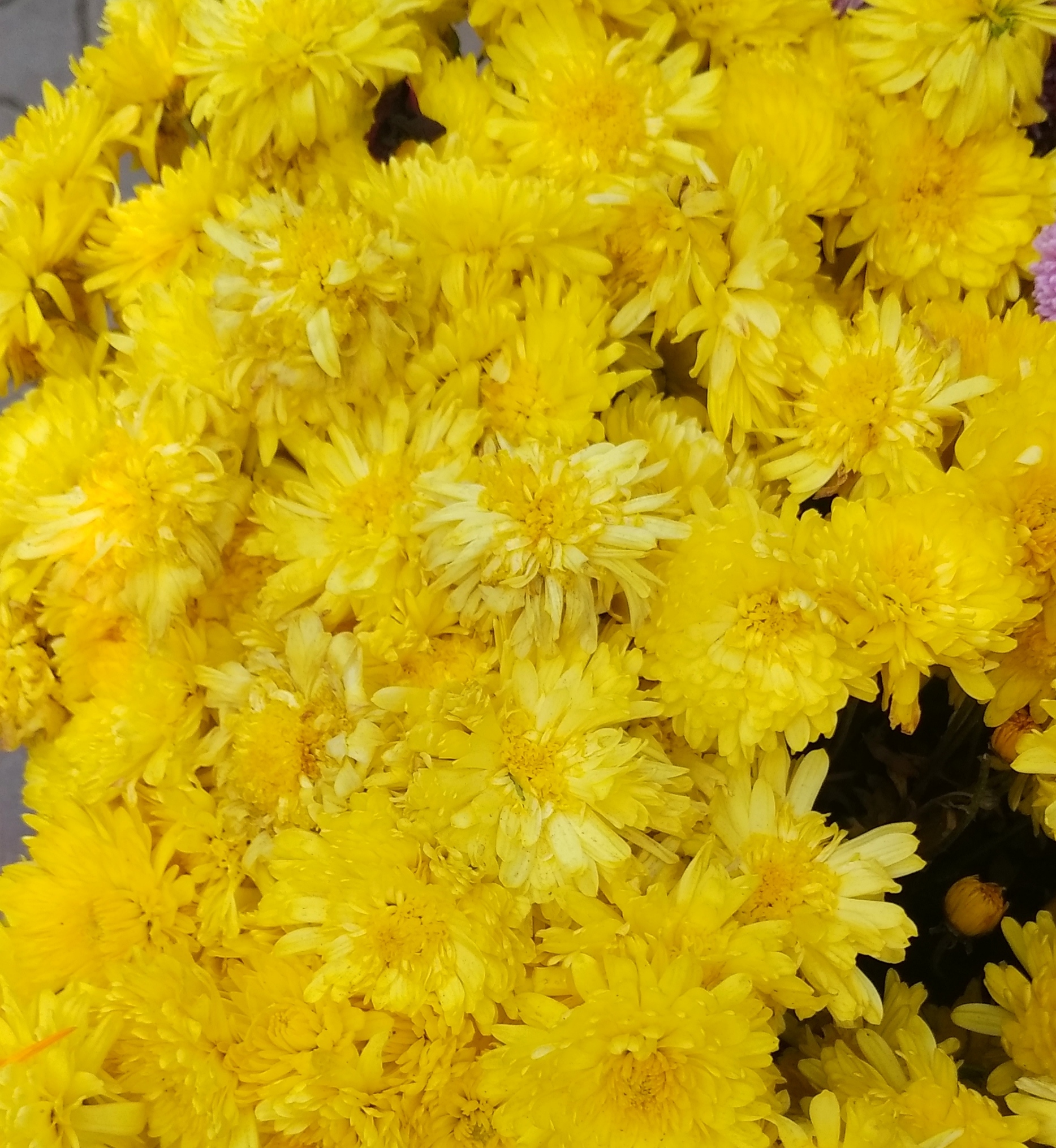 IMG_20220108_222641.jpg
