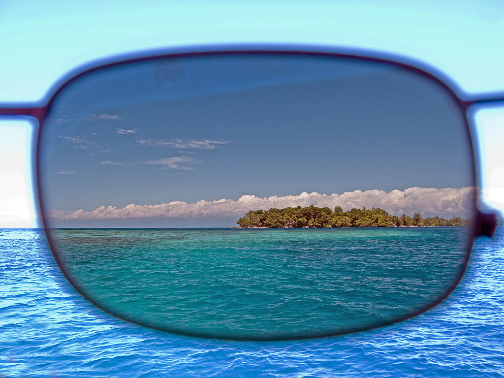 banner1.jpg
