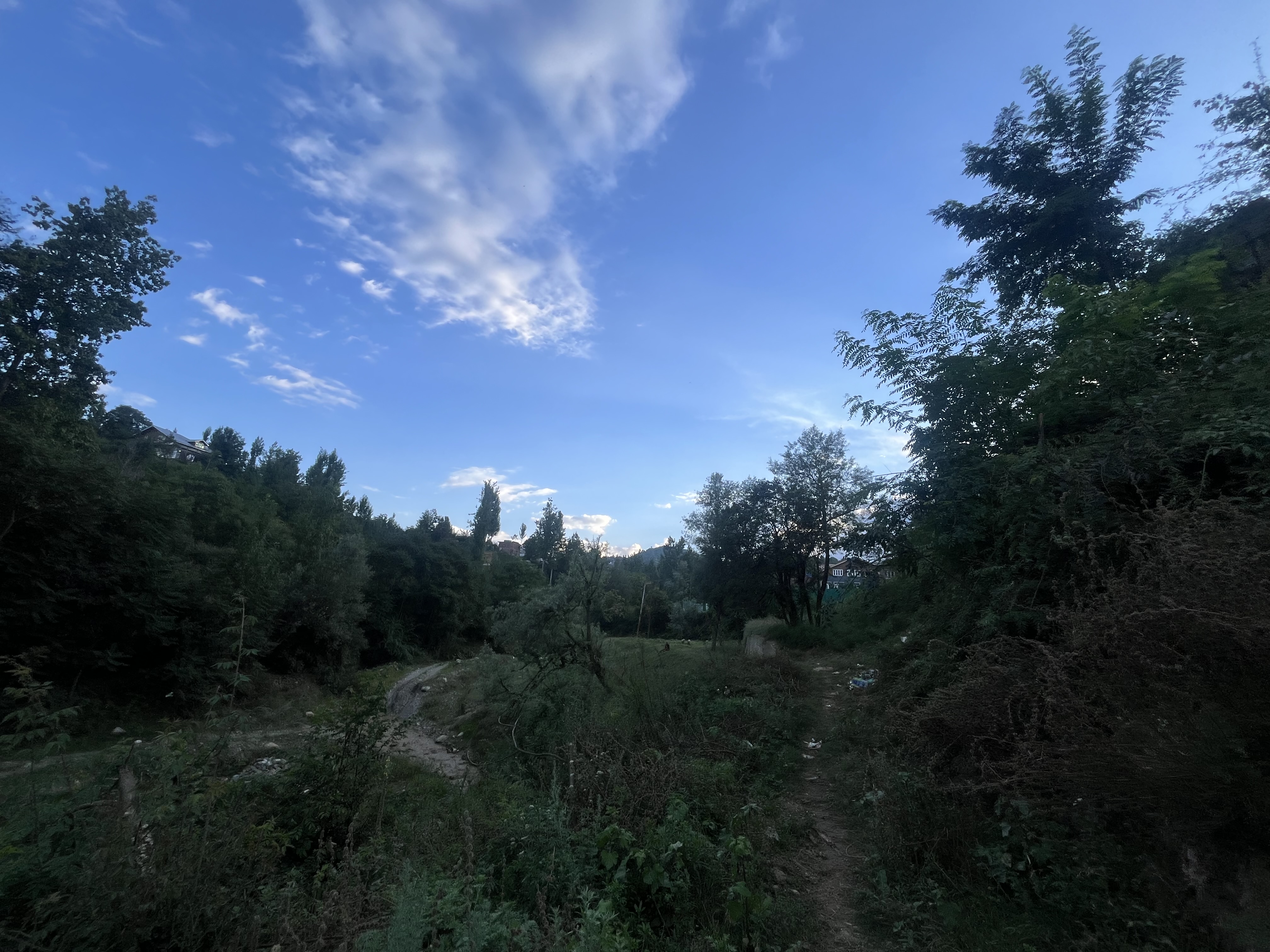 IMG_1751.jpeg