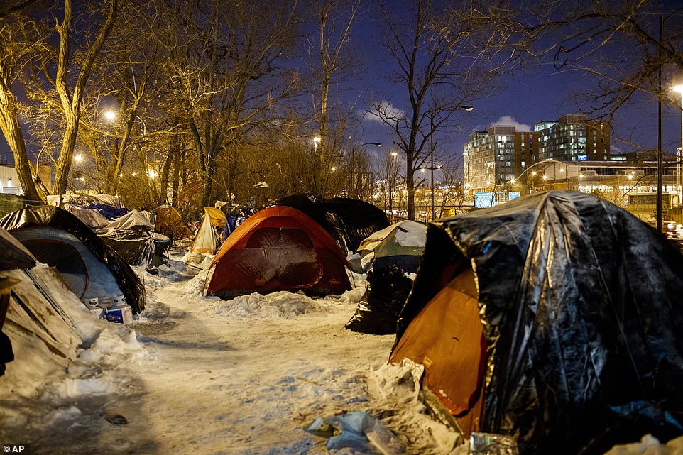9192188-6650115-People_sleep_in_tents_near_a_wooded_area_adjacent_to_the_Dan_Rya-a-9_1548888764758.jpg