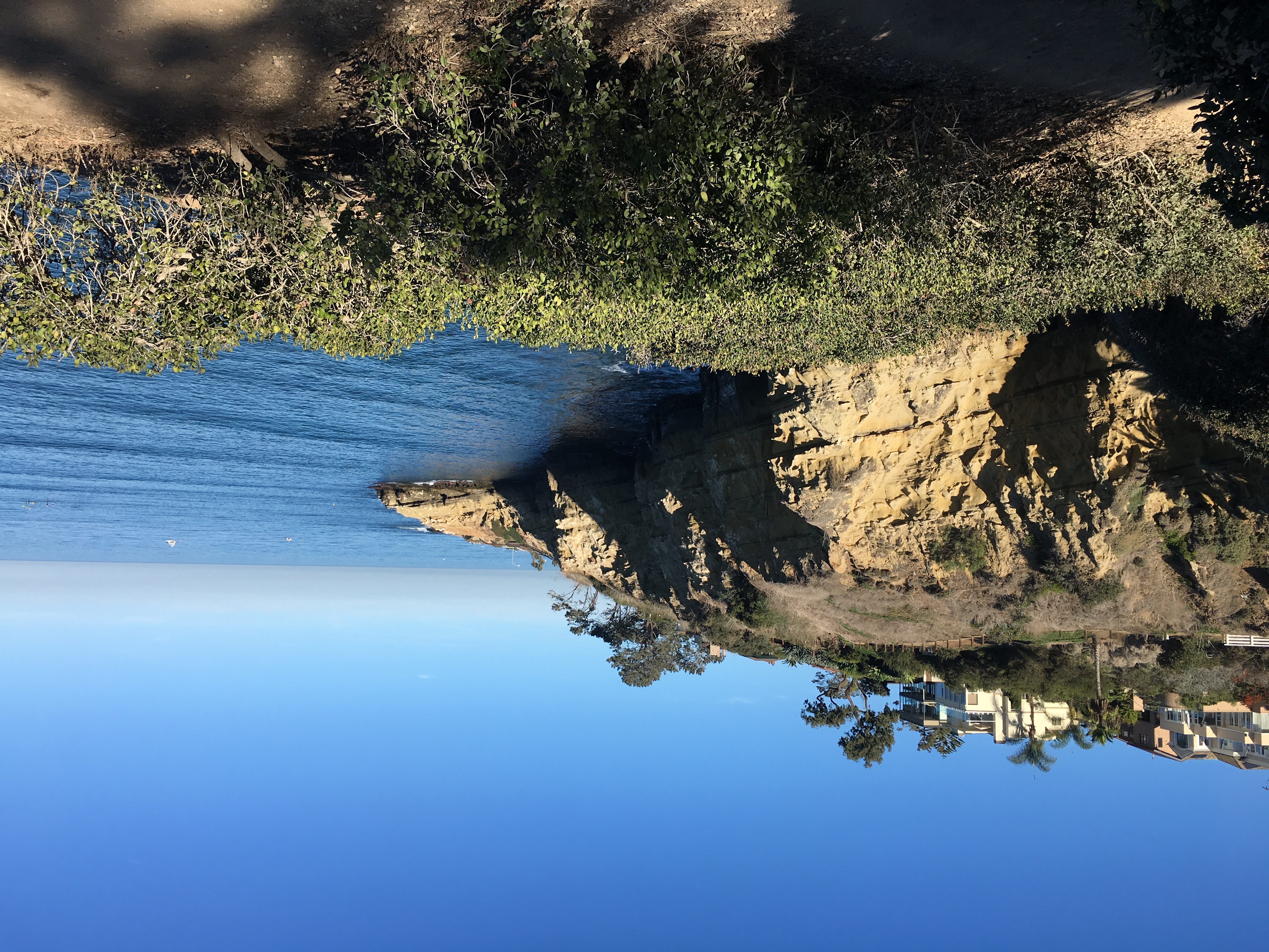B08EF6E9-D270-4536-9C8F-87BAD1E687F4.jpeg
