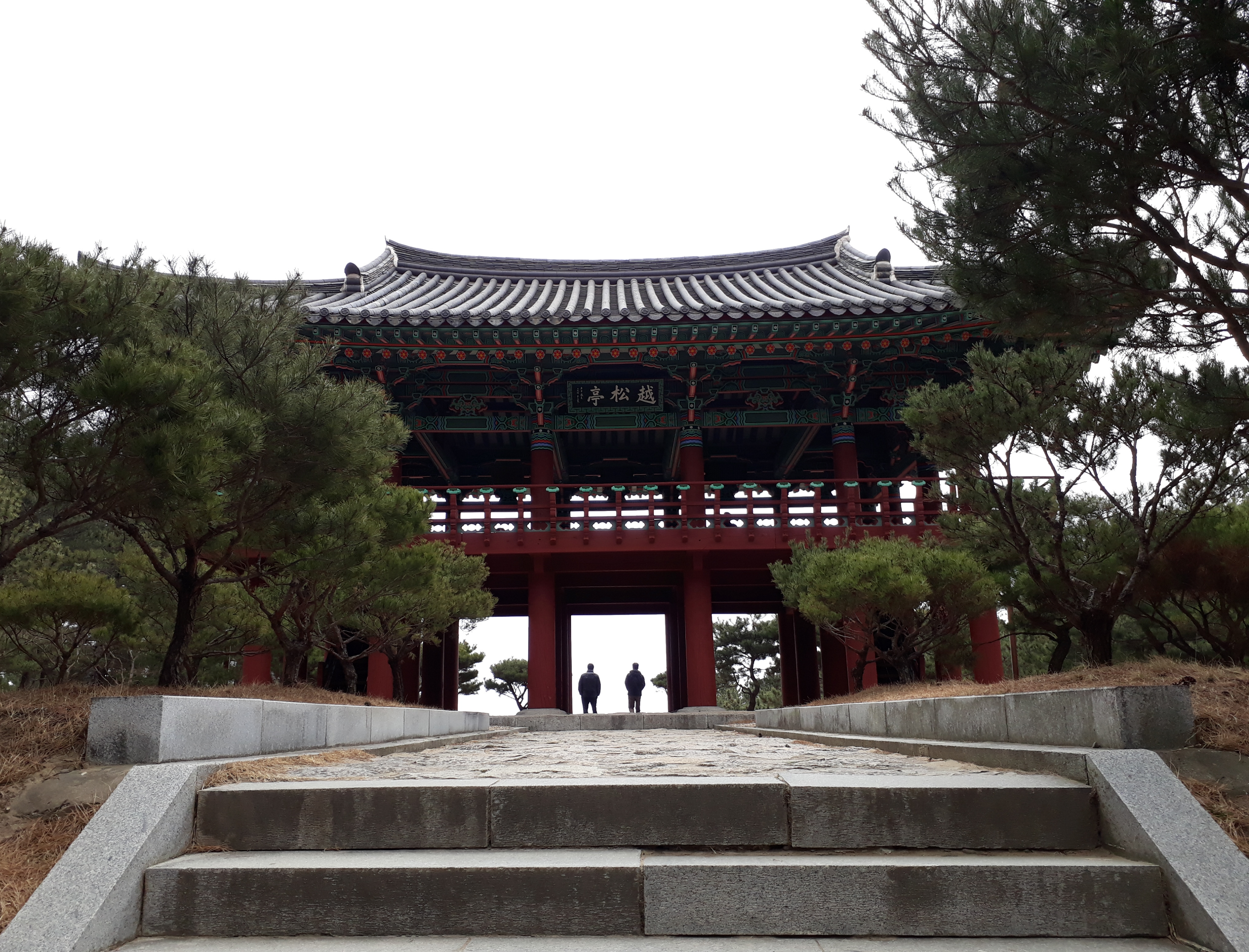 월송정2.jpg
