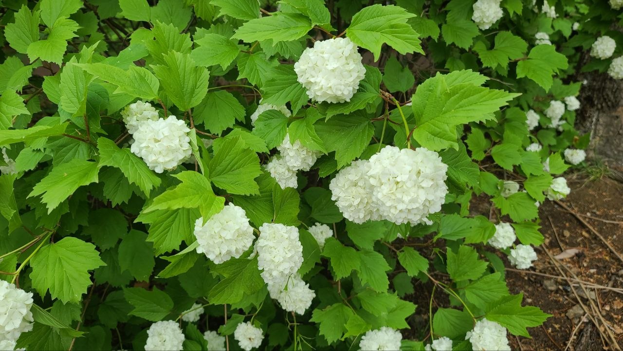 IMAGE 2026-07-26 04:33:05.jpg