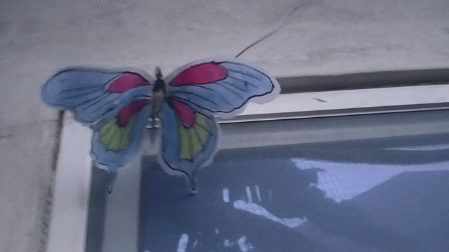 1000176947.gif