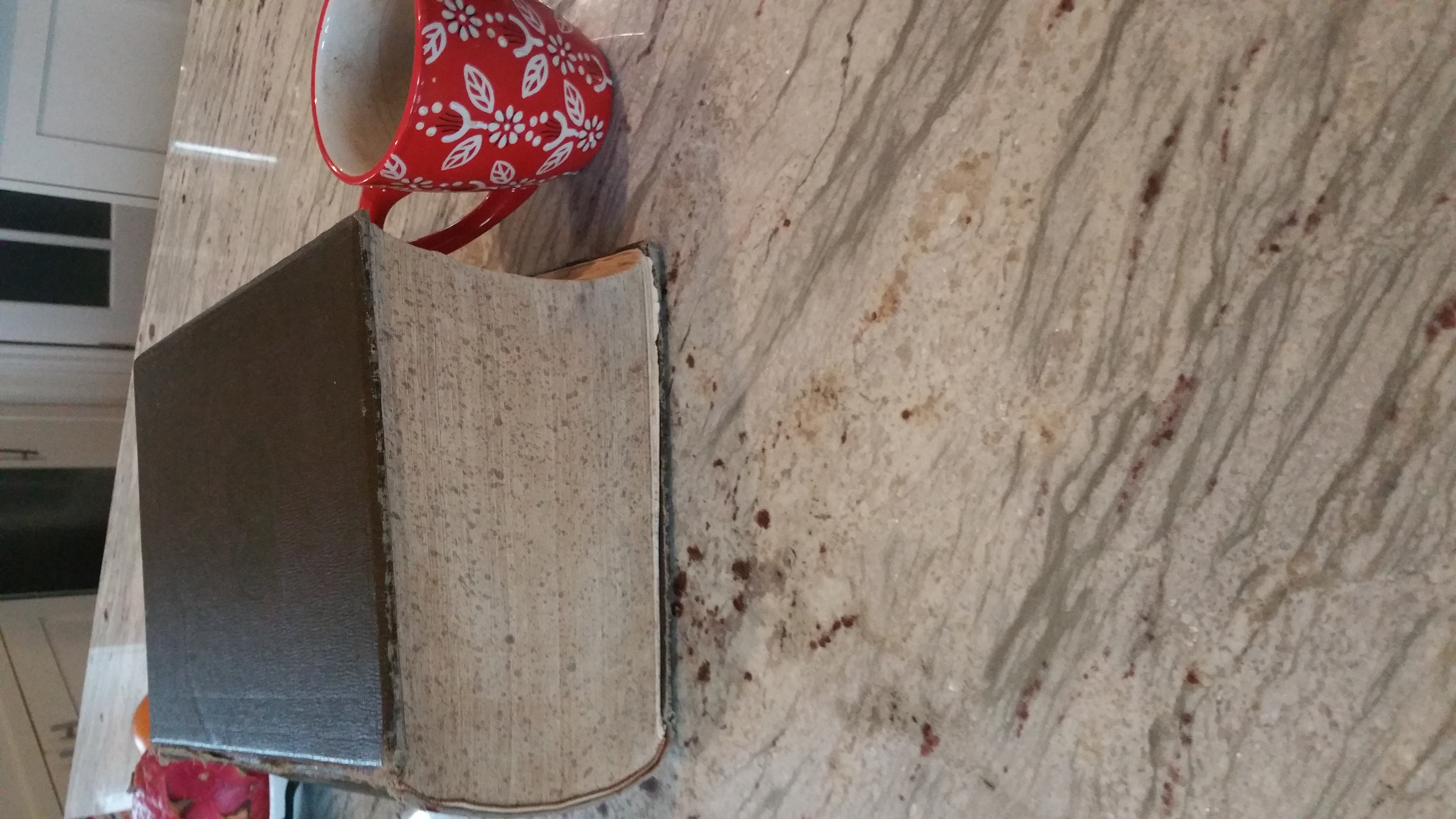 20180812_080703.jpg