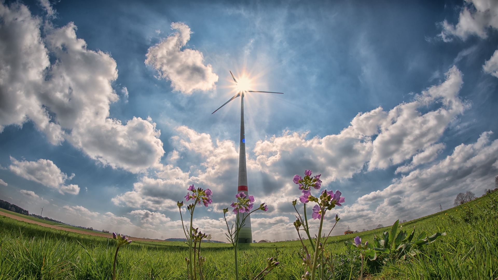 zero carbon project (8).jpg