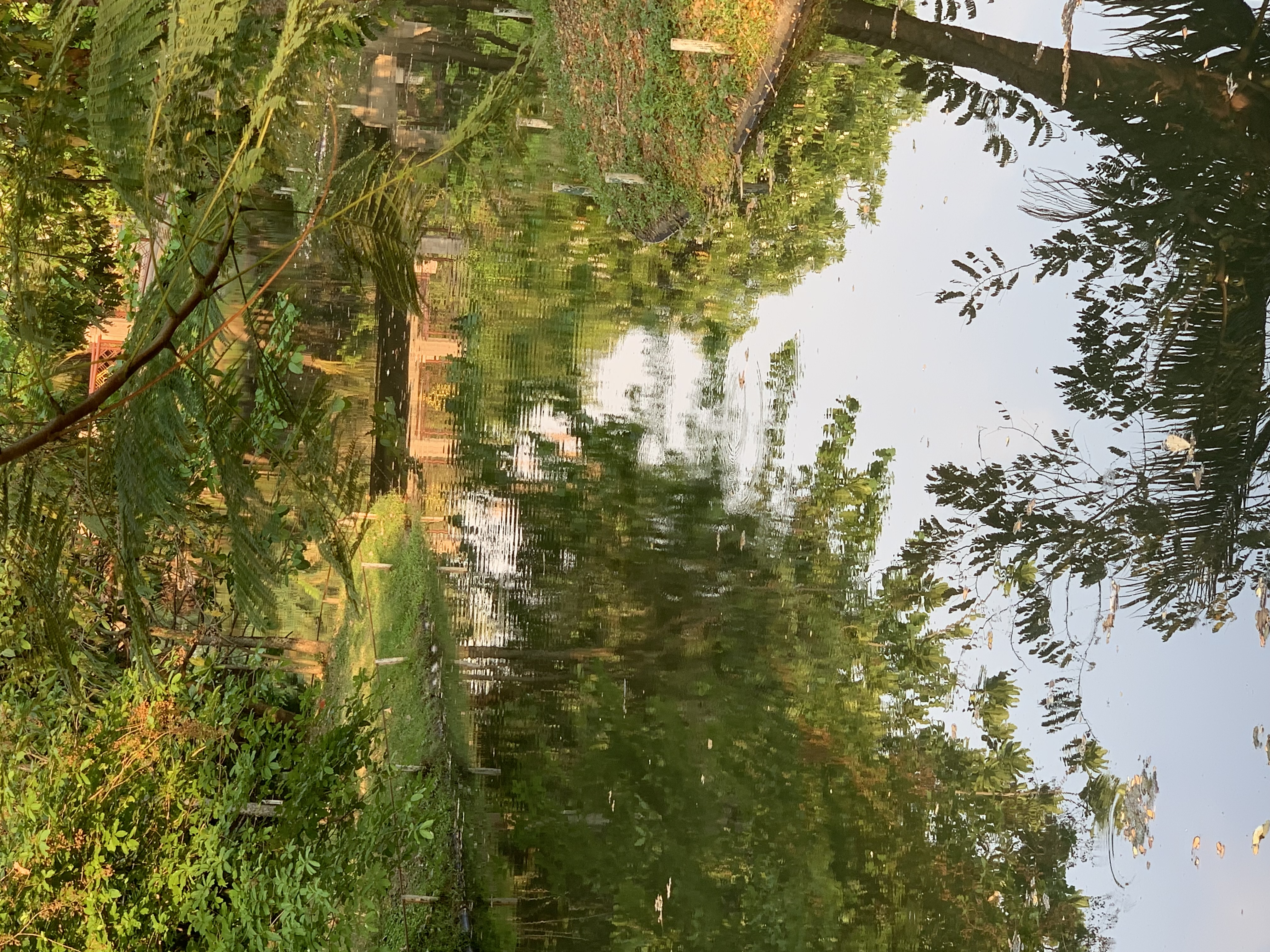 Queen Sirikit Park404.jpg