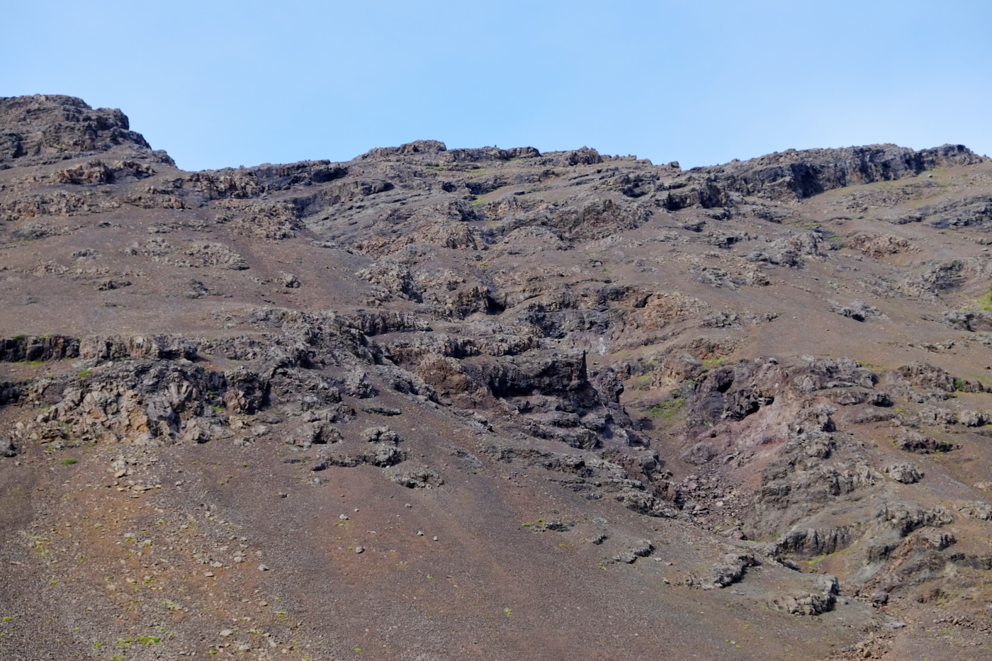 DSCF4494.jpg