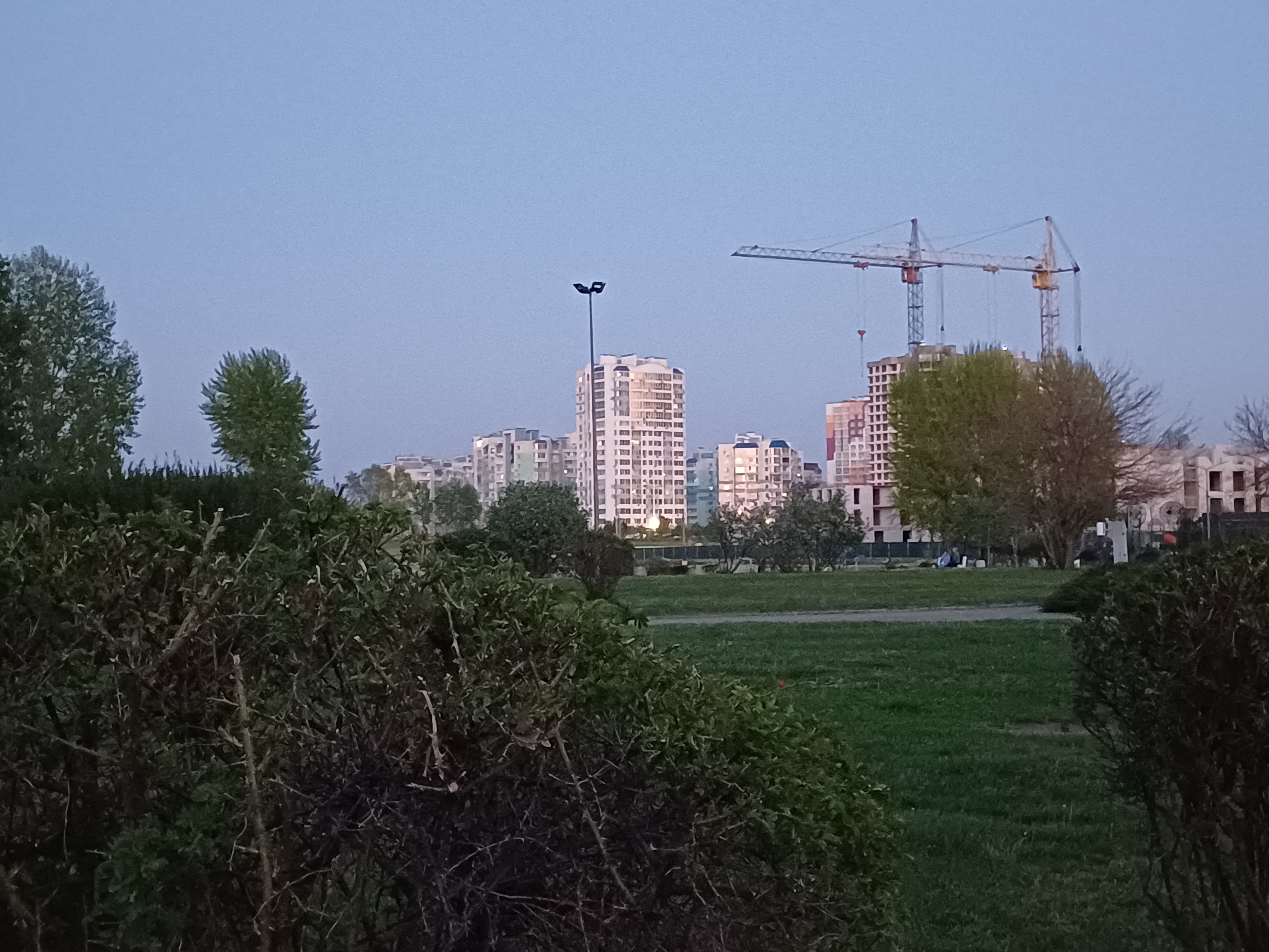 1000051262.jpg