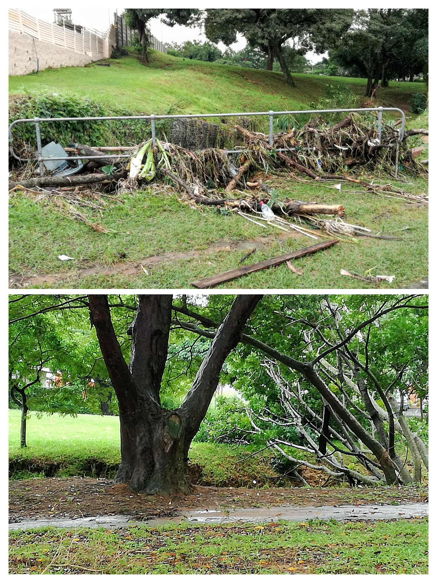 IMG_20190423_140020-COLLAGE.jpg