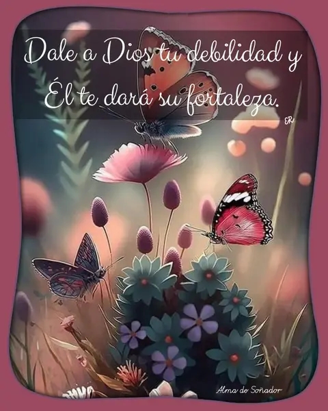 FB_IMG_16866170962588300.jpg