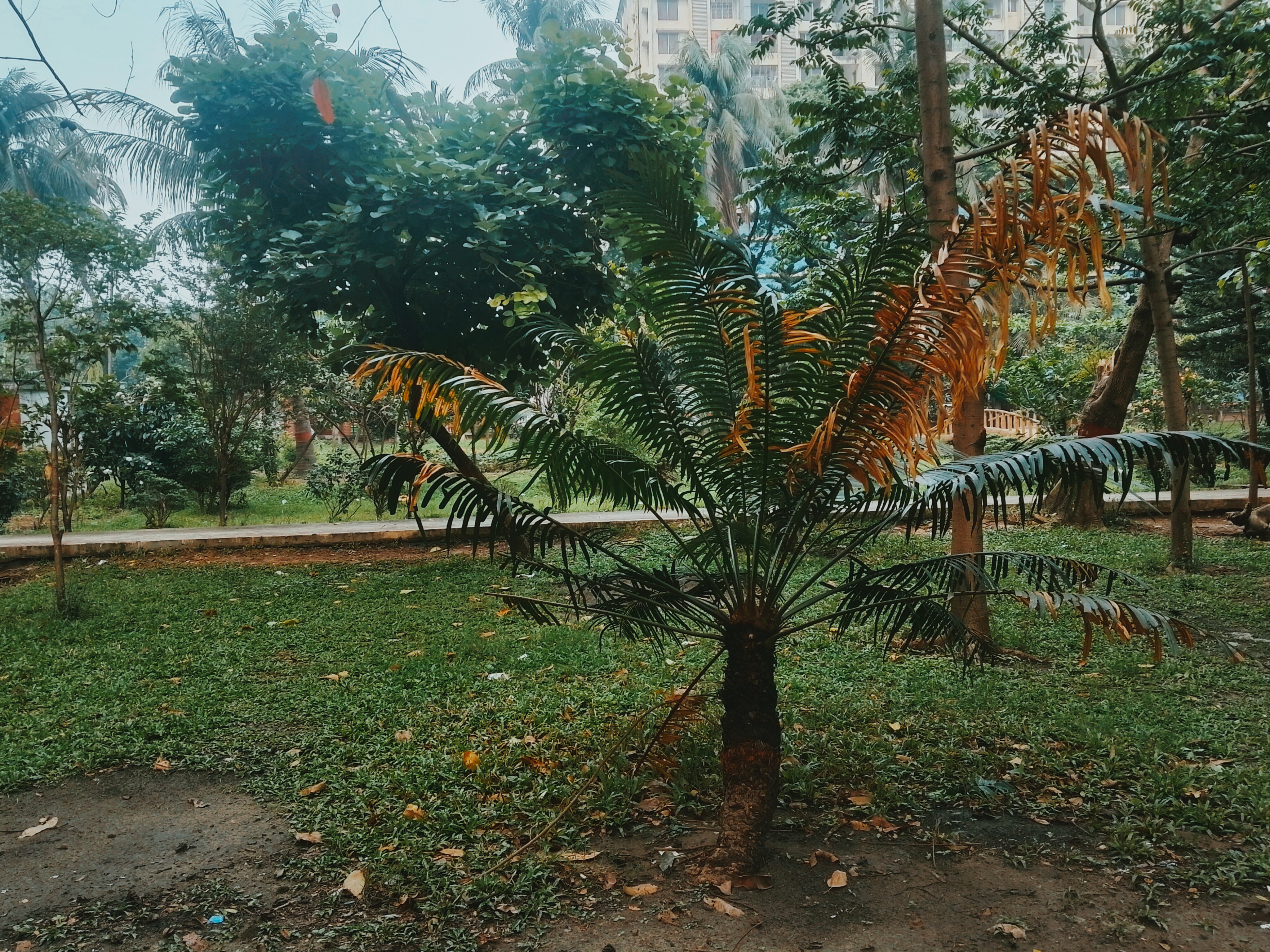1000056430.jpg
