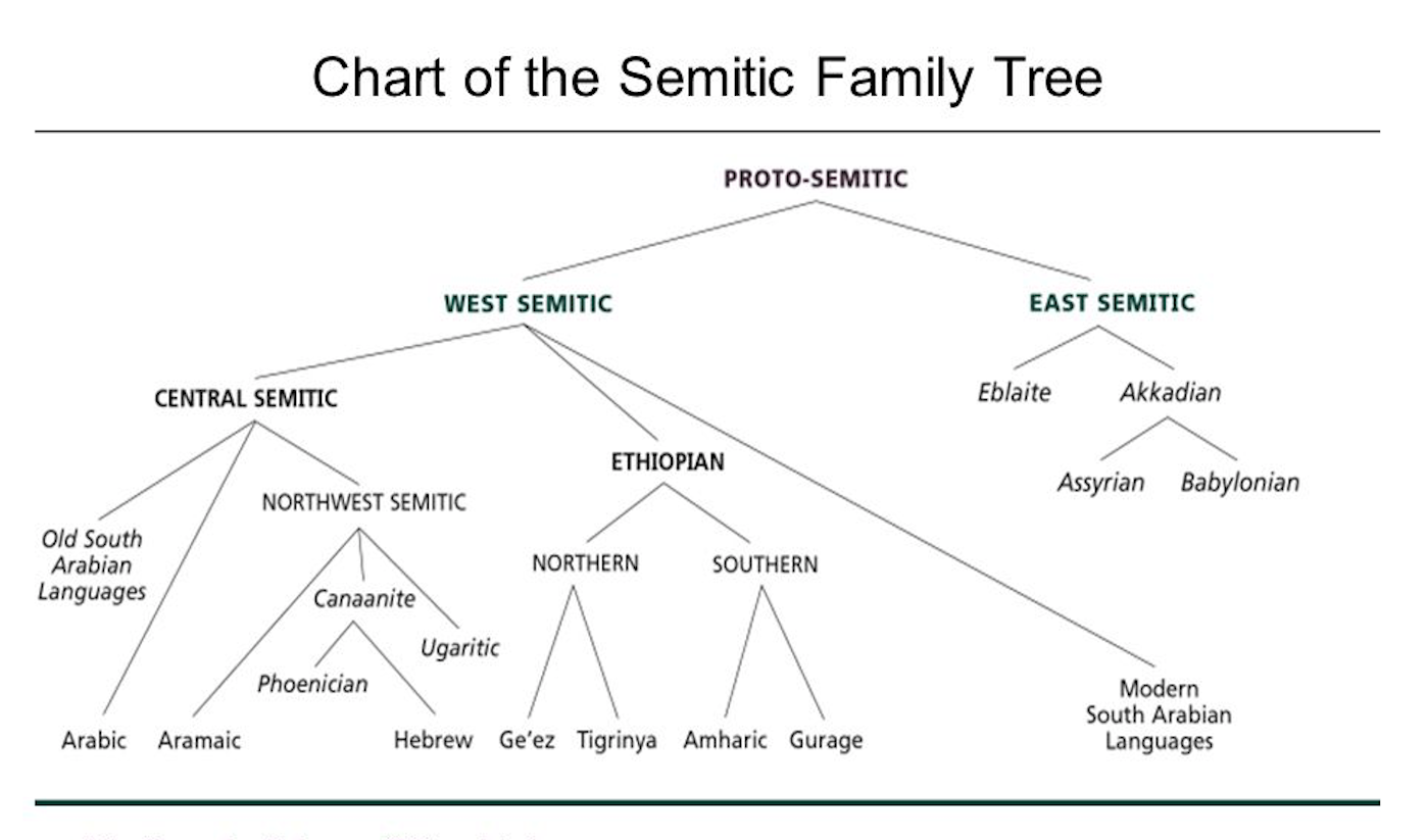 Family map. Semitic languages. Арабский язык семья дерево происхождение.