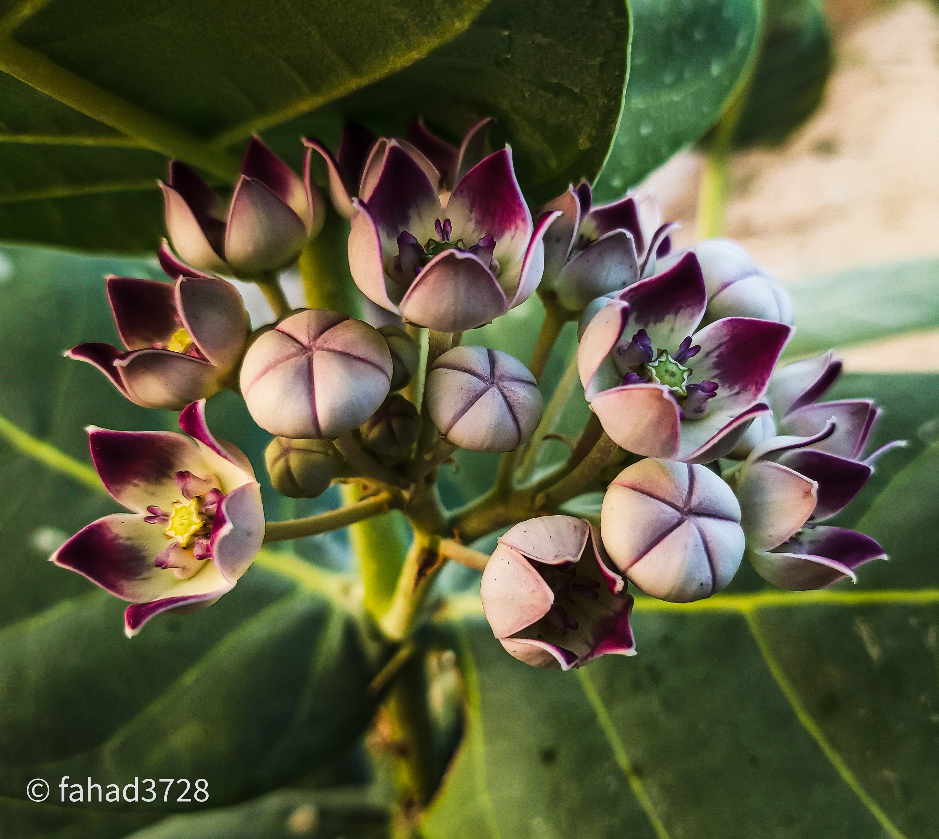 1662622229708 (1).jpg